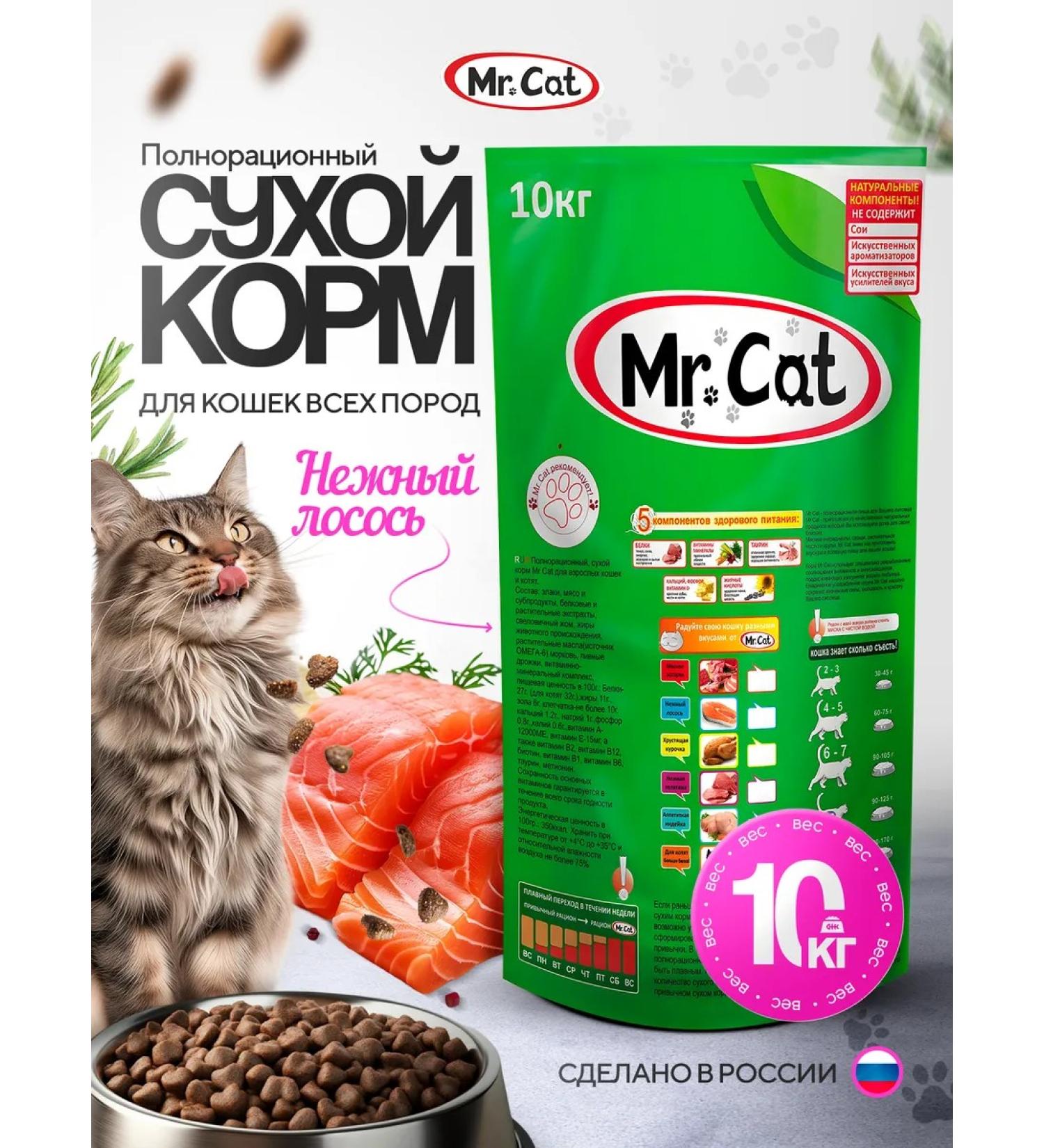 Mr Cat Dry food of 10 kg Dry Salmon - Buy Online on GoSupps.com