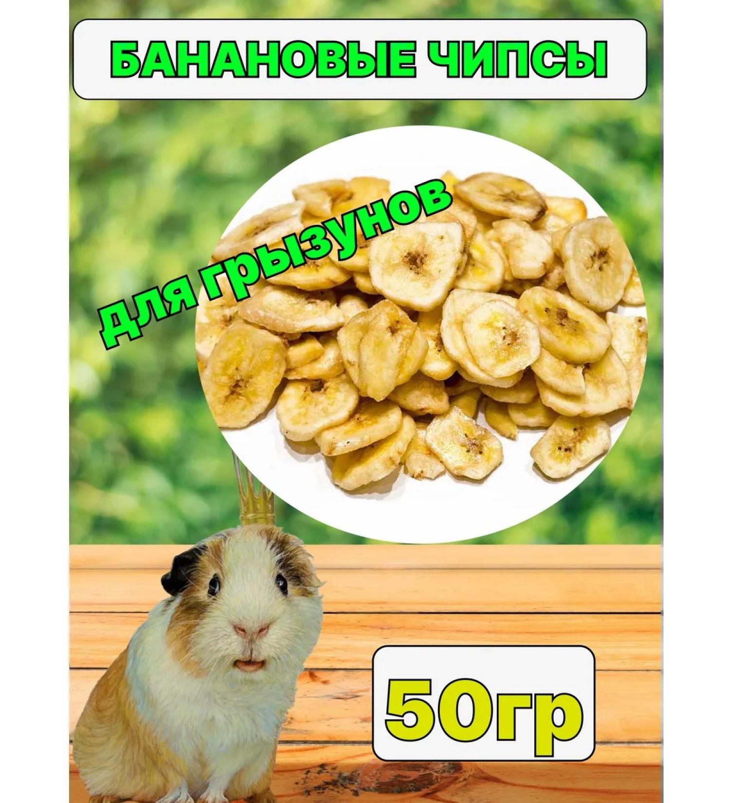 Banana Dried treat for rodents 50 grams - Buy Online on GoSupps.com