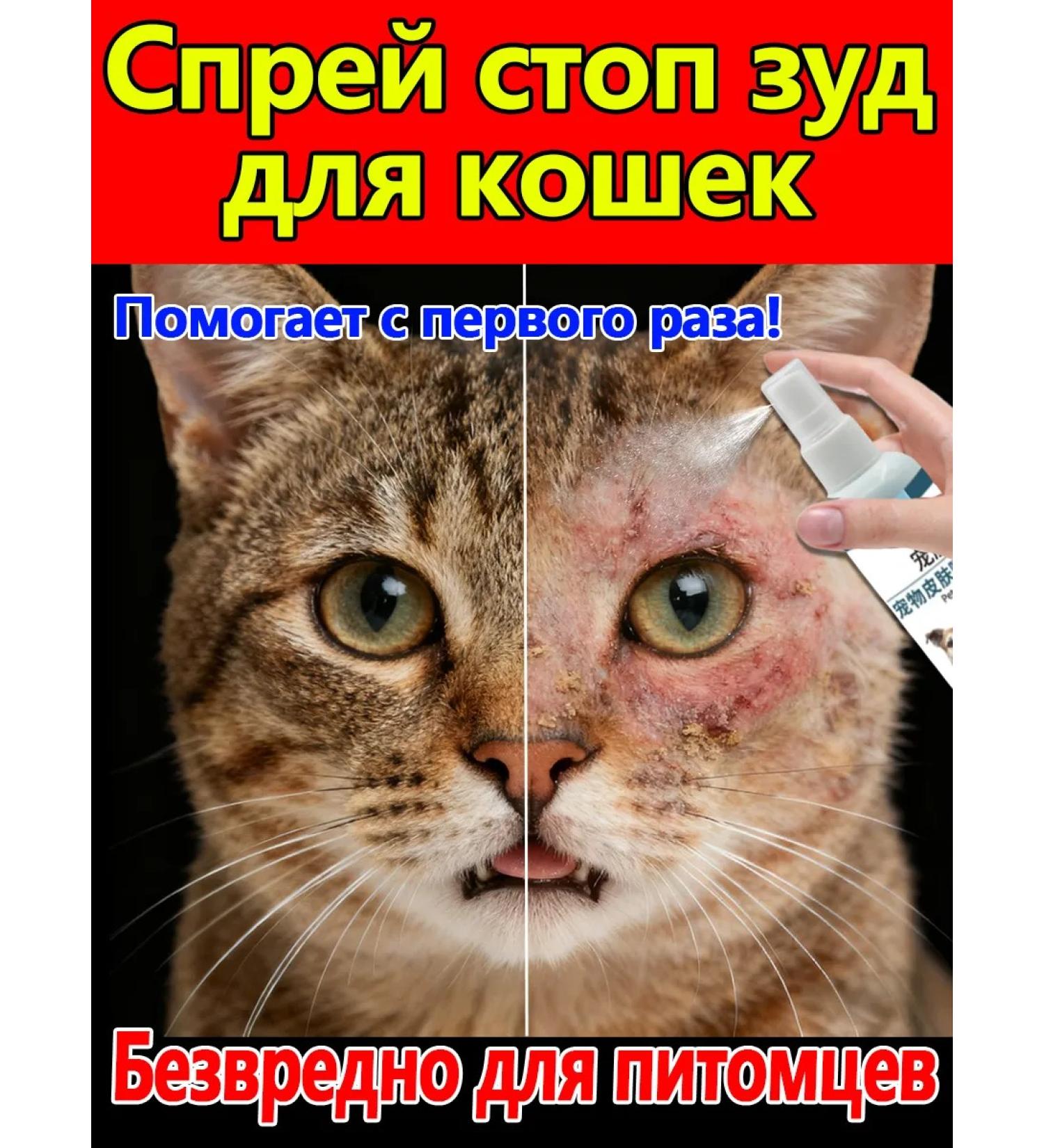 Spray from itching and dermatitis for dogs and cats 100 ml - Buy Online on GoSupps.com
