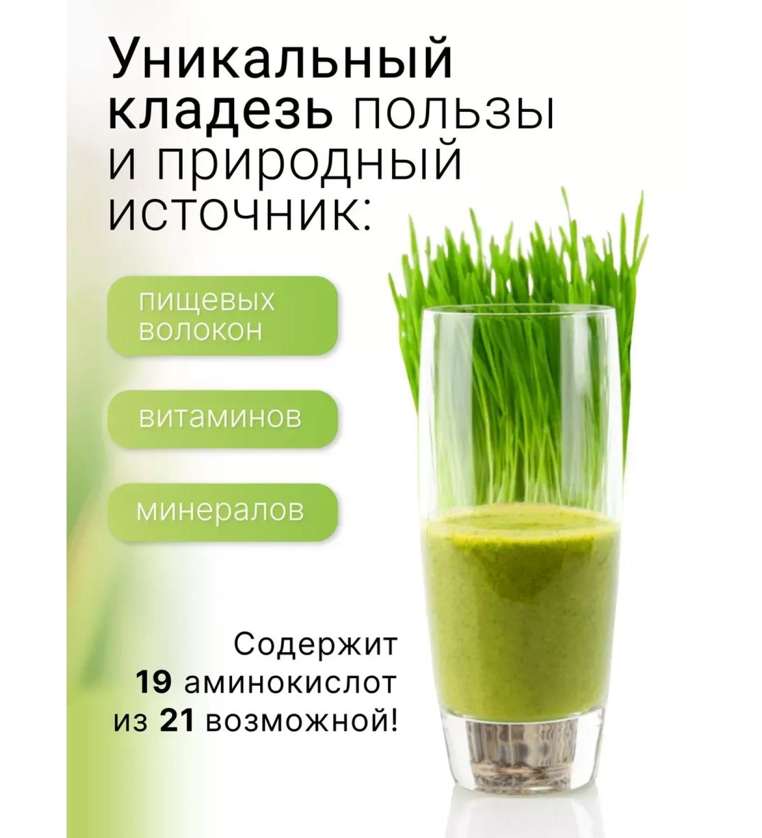 WheasproutCorp Witgrass Powder from wheat jacket juice 220 g - Buy Online on GoSupps.com