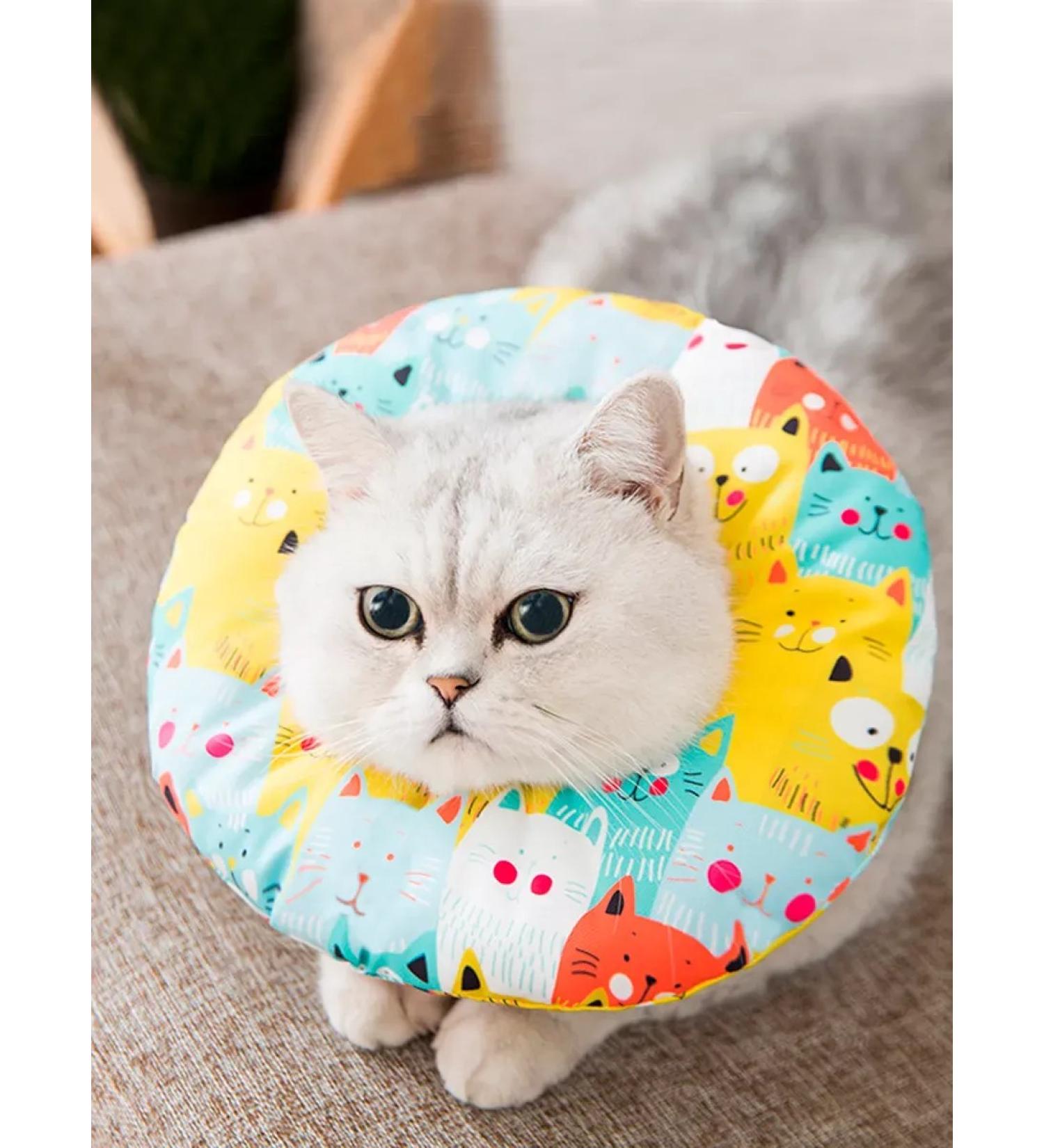 Veterinary "cats" collar for cats and dogs - Buy Online on GoSupps.com