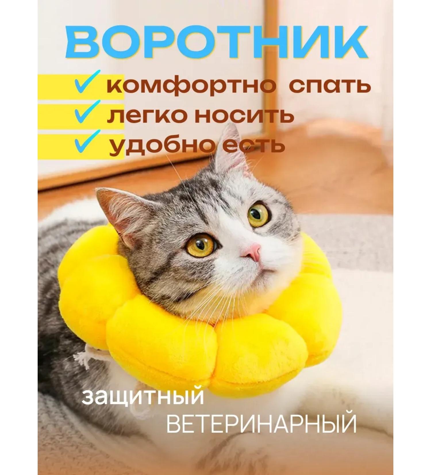 Veterinary collar for cats and dogs "Flower" - Buy Online on GoSupps.com