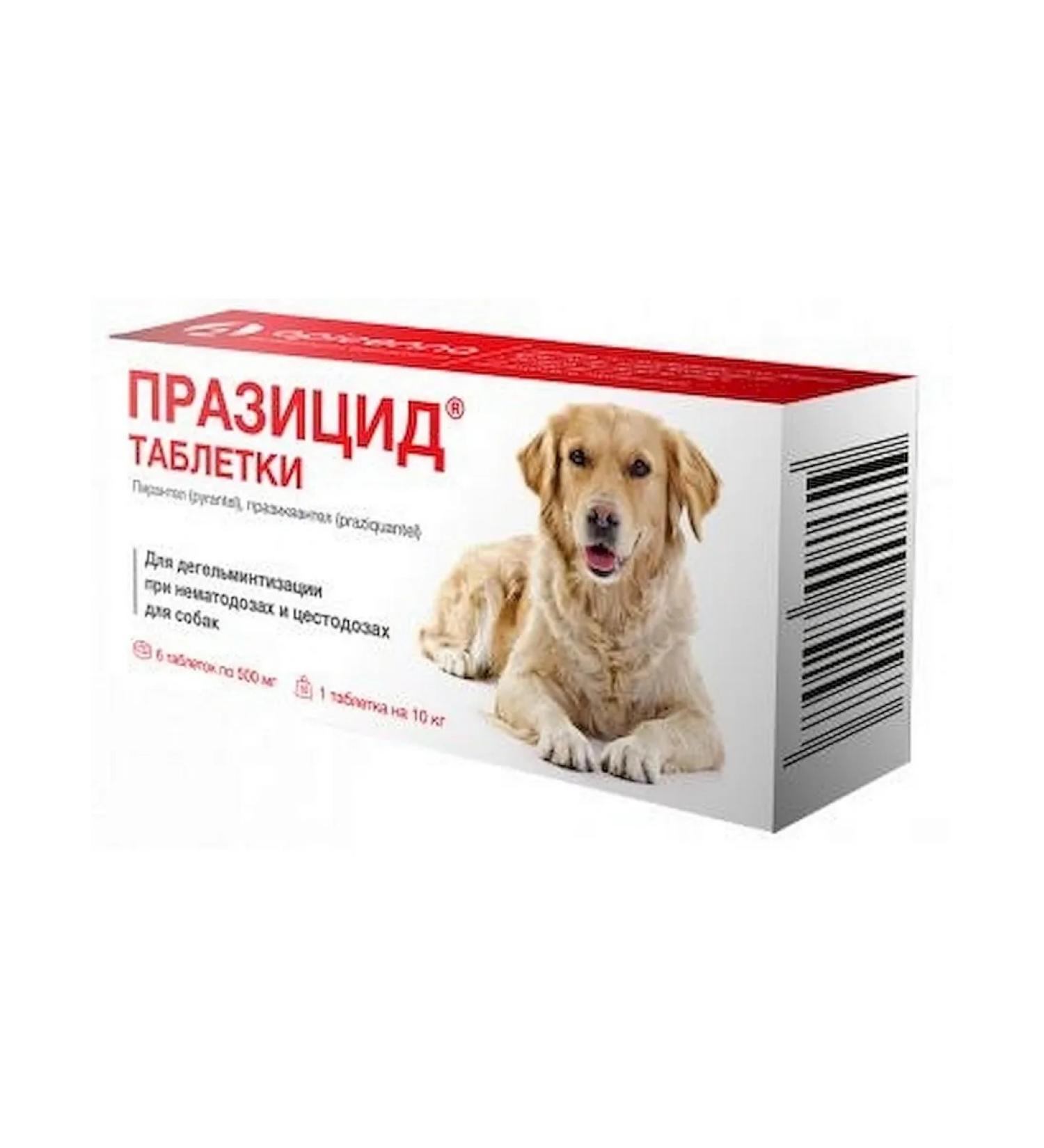 Apicenna Prasicide tablets for dogs 500 mg 6 tab