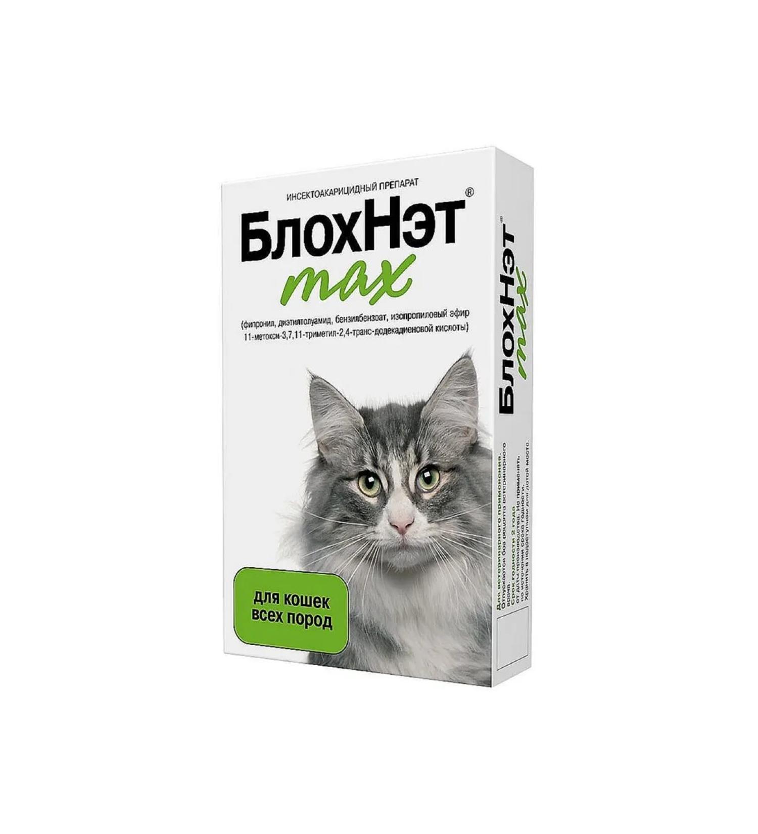 Astrapharm Blochnet Max drops on a withers for cats and kittens 1 ml of peep
