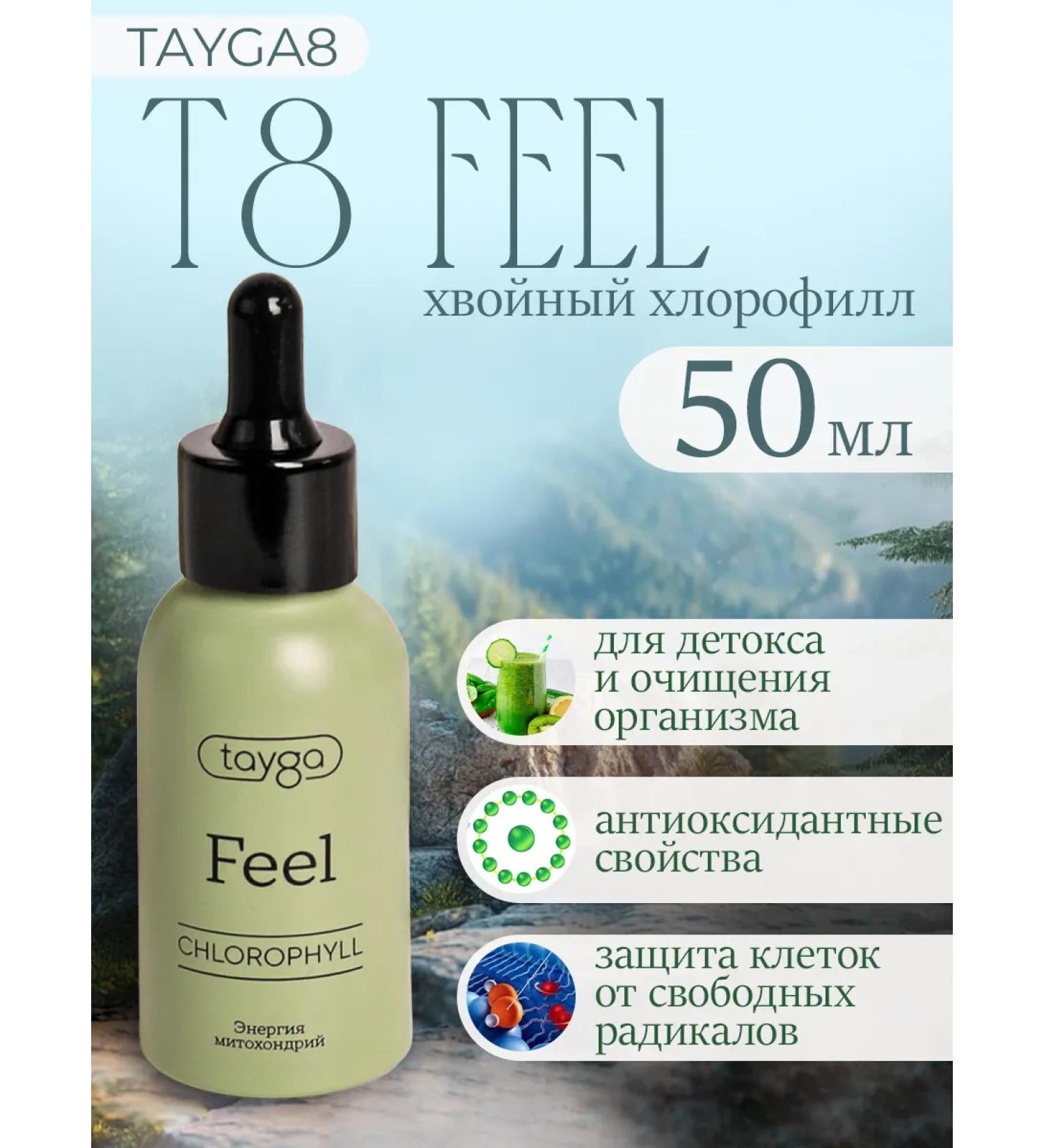 VILAVI T8 Feel concentrate coniferous chlorophyll 100 ml