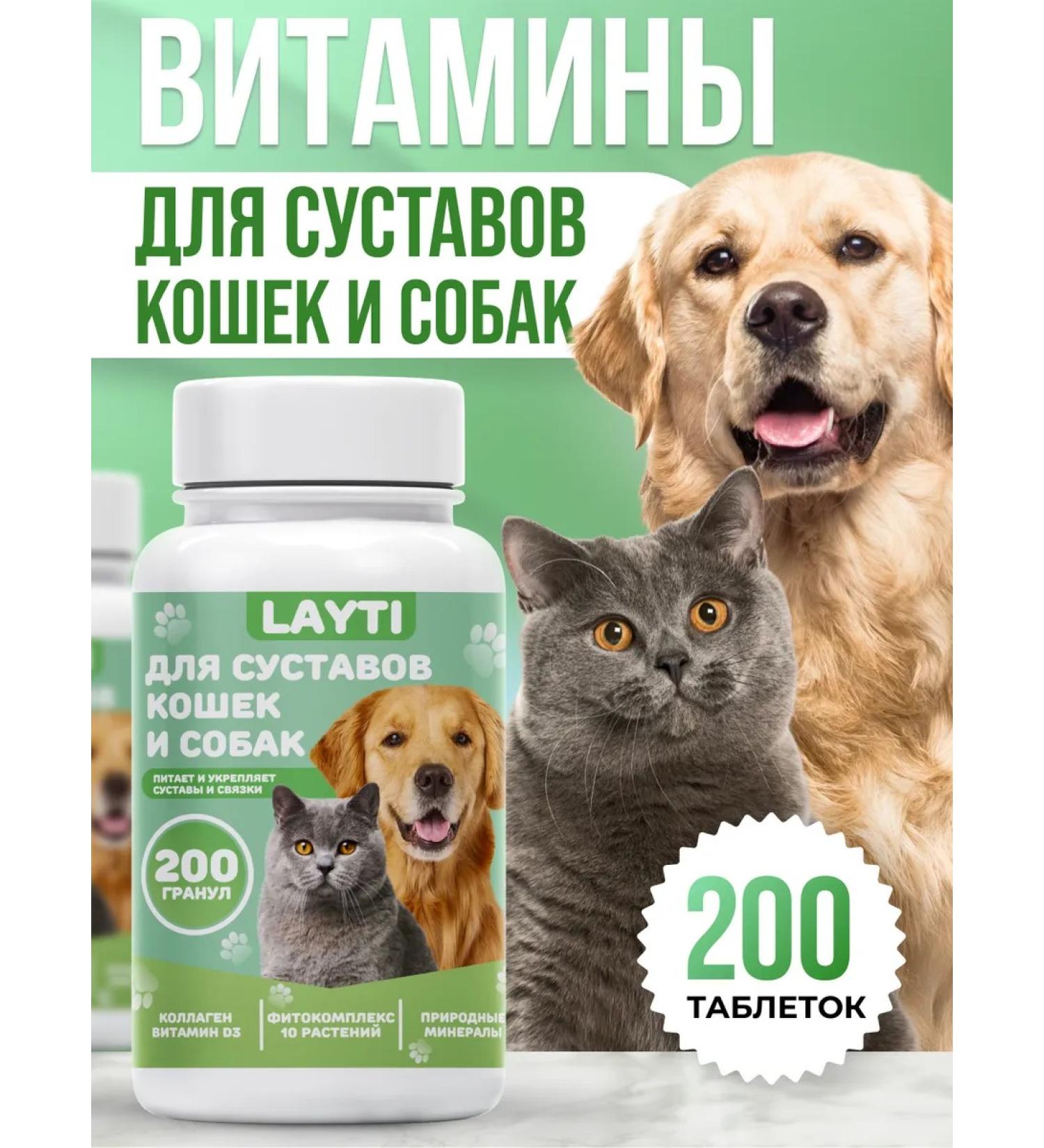 LAYTI Vitamins for the joints of cats and dogs - Buy Online on GoSupps.com