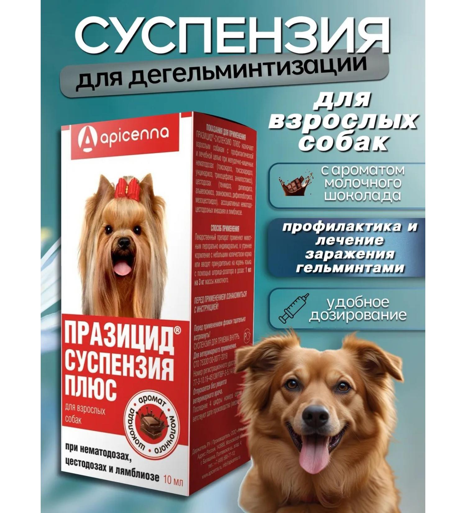 Apicenna Remedy for worms for dogs pusycide