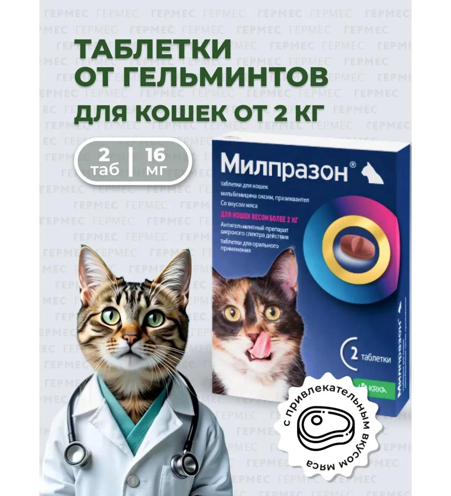 KRKA Milprazone for cats weighing 2 kg from helminths 2 tab - Buy Online on GoSupps.com
