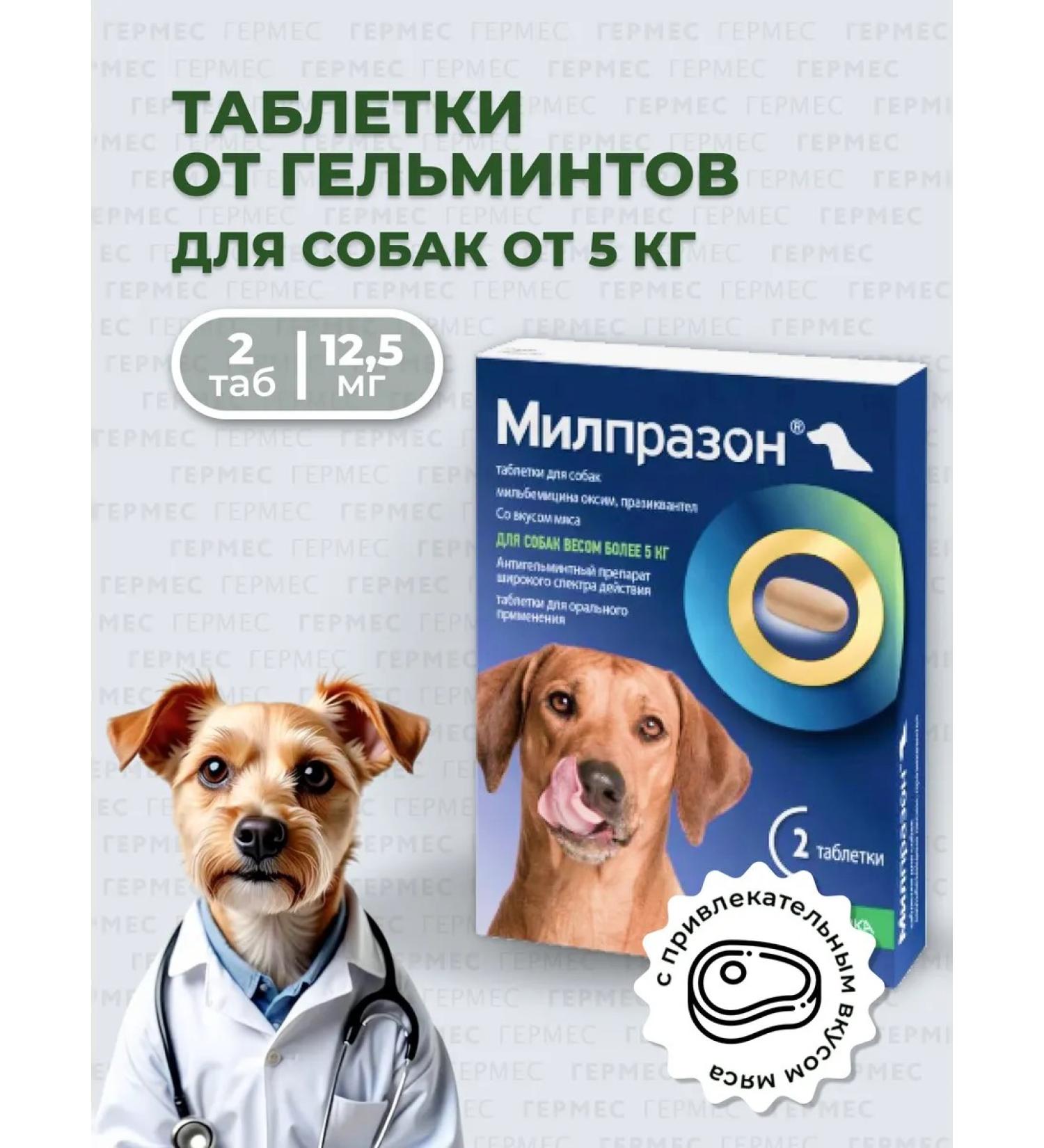 KRKA Milprazone for dogs of large rocks 2 tab - Buy Online on GoSupps.com