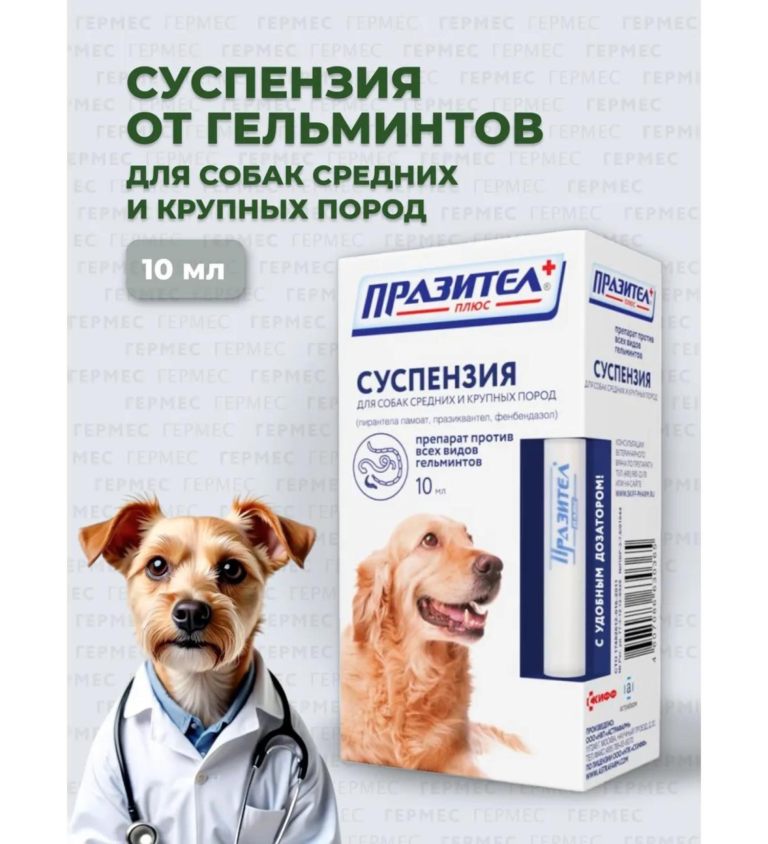 ASTRAPHARM Prasitel plus suspension for dogs of medium large rocks - Buy Online on GoSupps.com