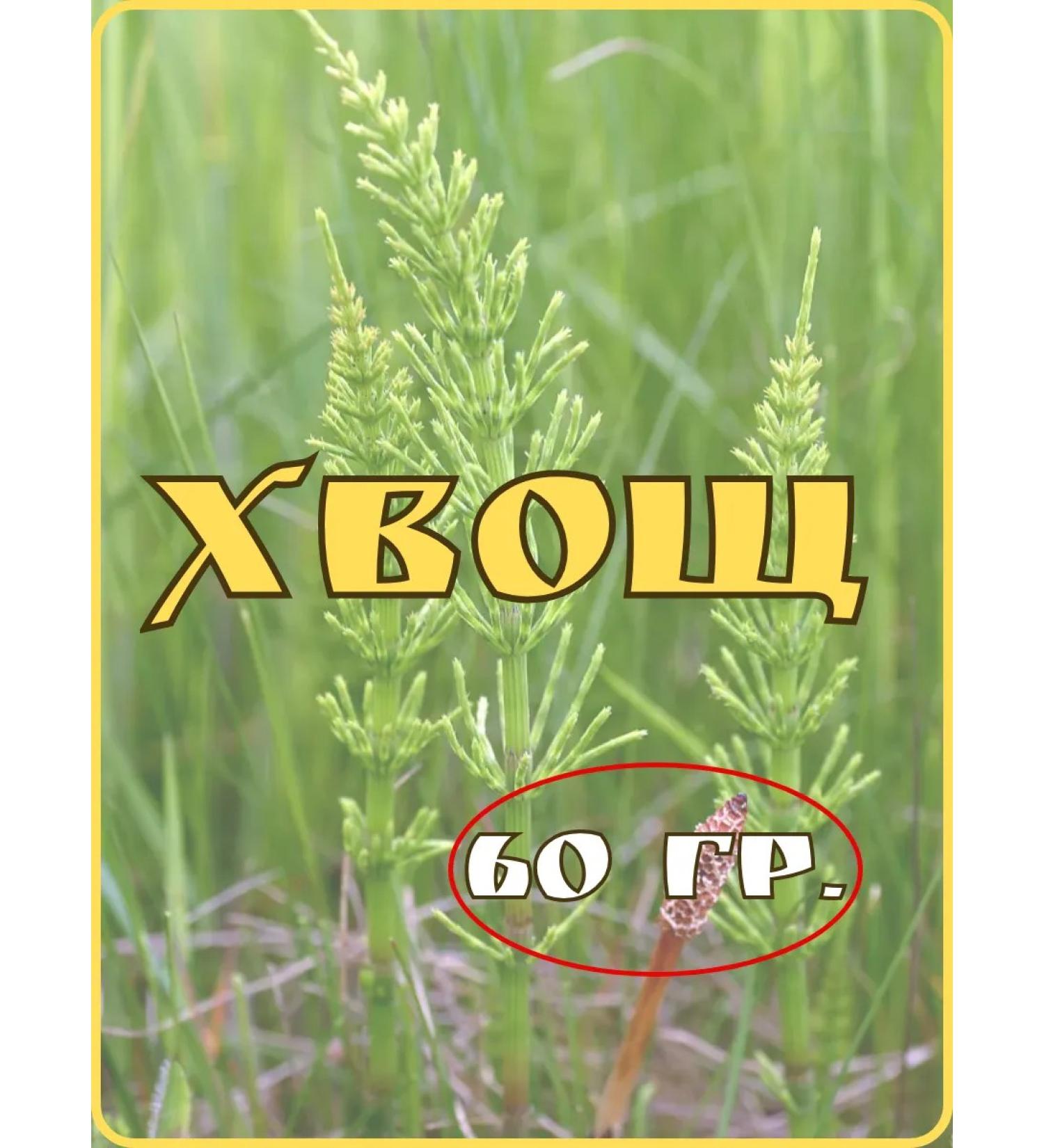 Herbs of Siberia Horsetail - Buy Online on GoSupps.com