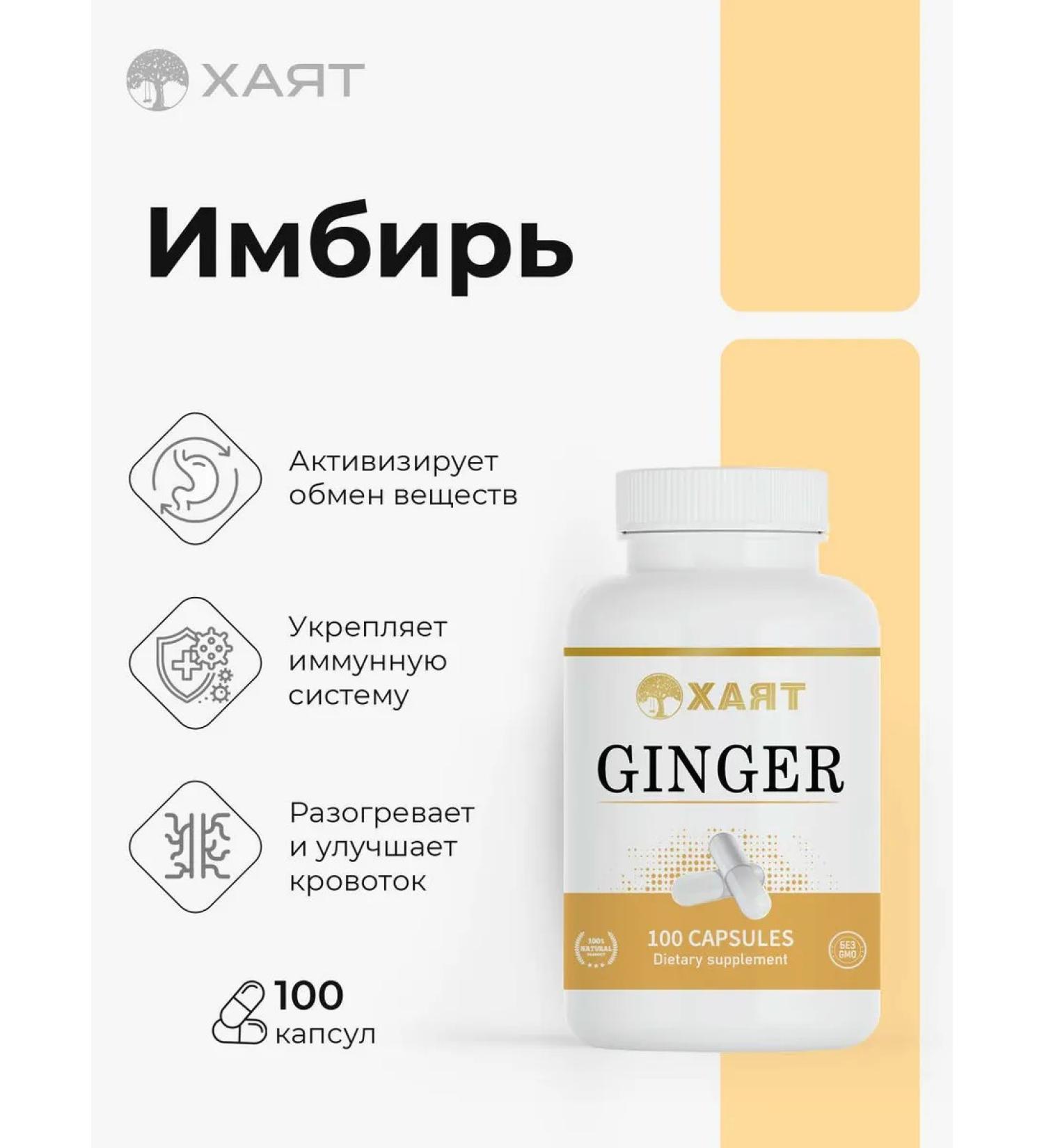HAYAT Ginger is dry ground - Buy Online on GoSupps.com