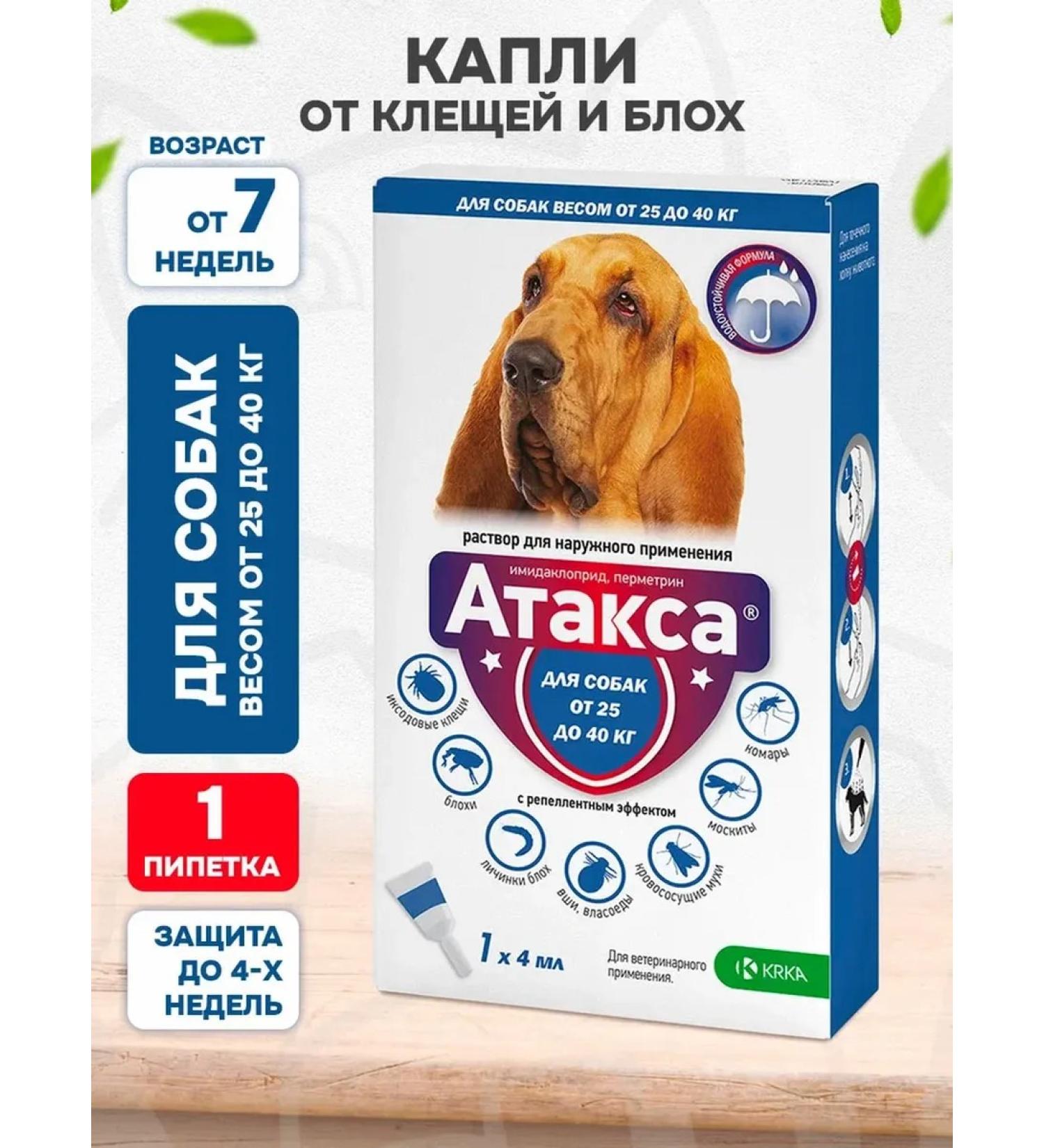 KRKA Attles drops from ticks dog fleas 25 - 40 kg 1 pipette - Buy Online on GoSupps.com