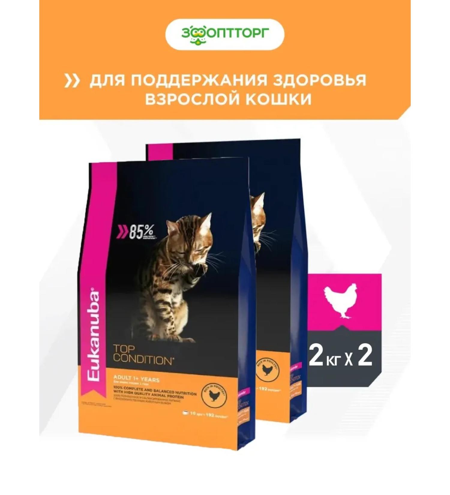 Eukanuba Dry food for adult cats bird 2kg x 2pcs