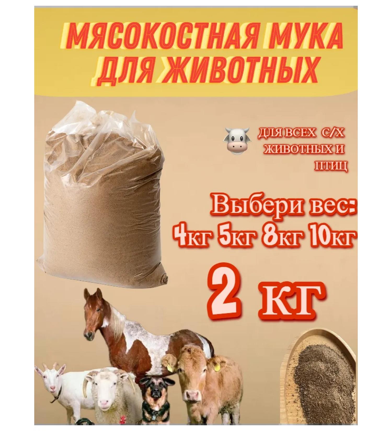 PurtNik Meat-bone flour vitamin-forage supplement 2 kg - Buy Online on GoSupps.com