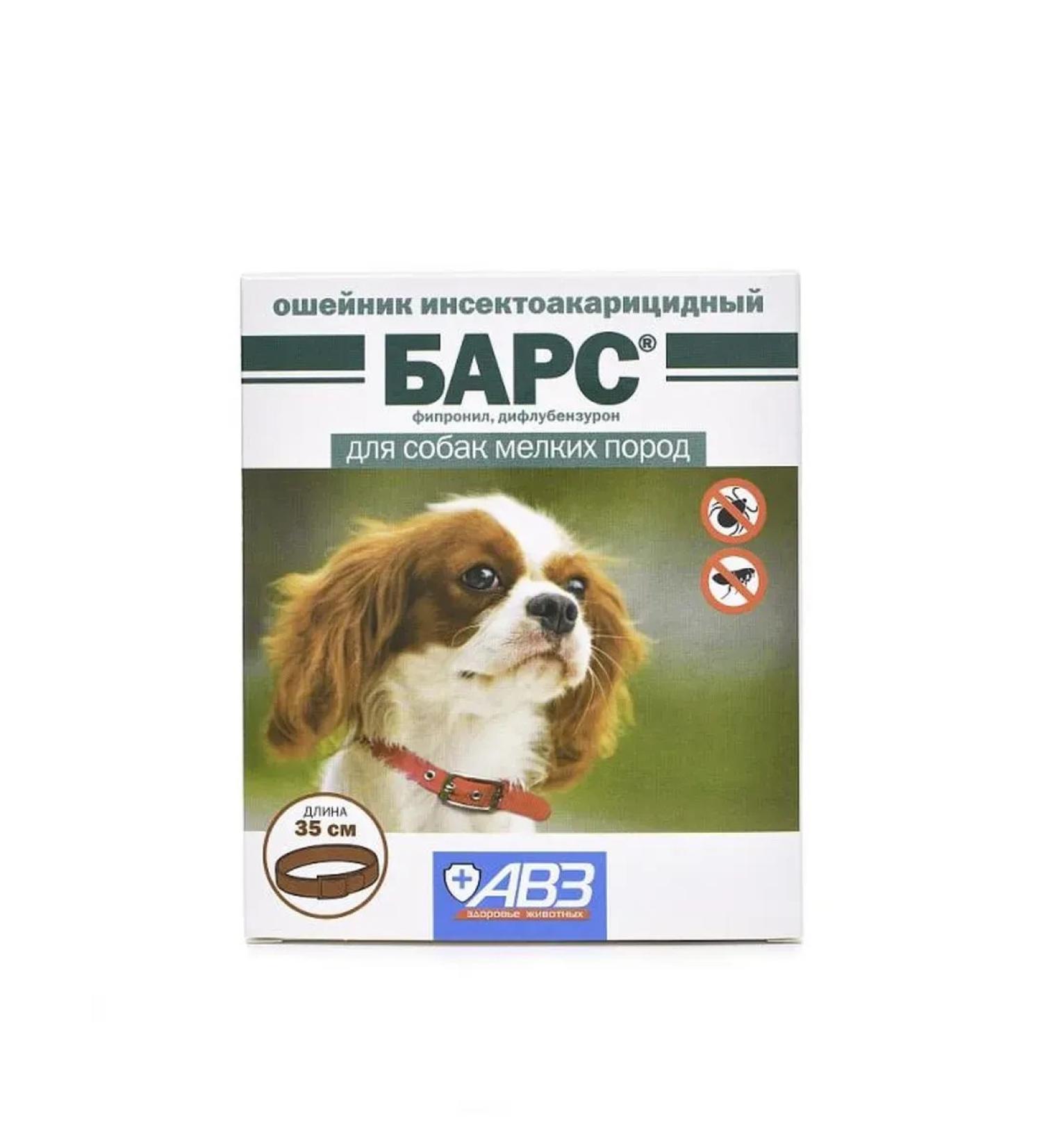 AVZ Bars collar insectoacaricid for dogs of small breeds 35 cm - Buy Online on GoSupps.com