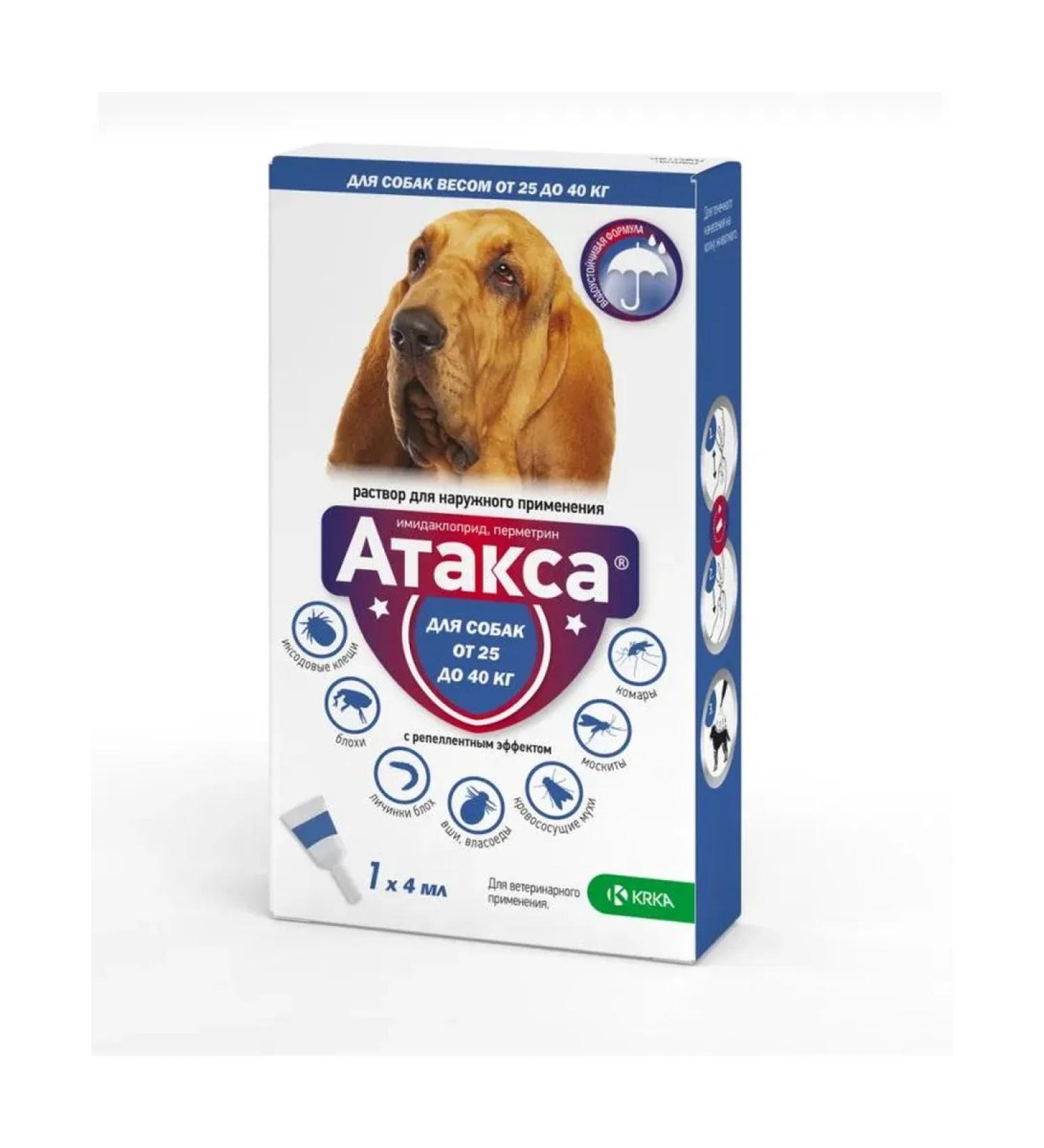 KRKA Attles of dog drops over 25 kg 4ml
