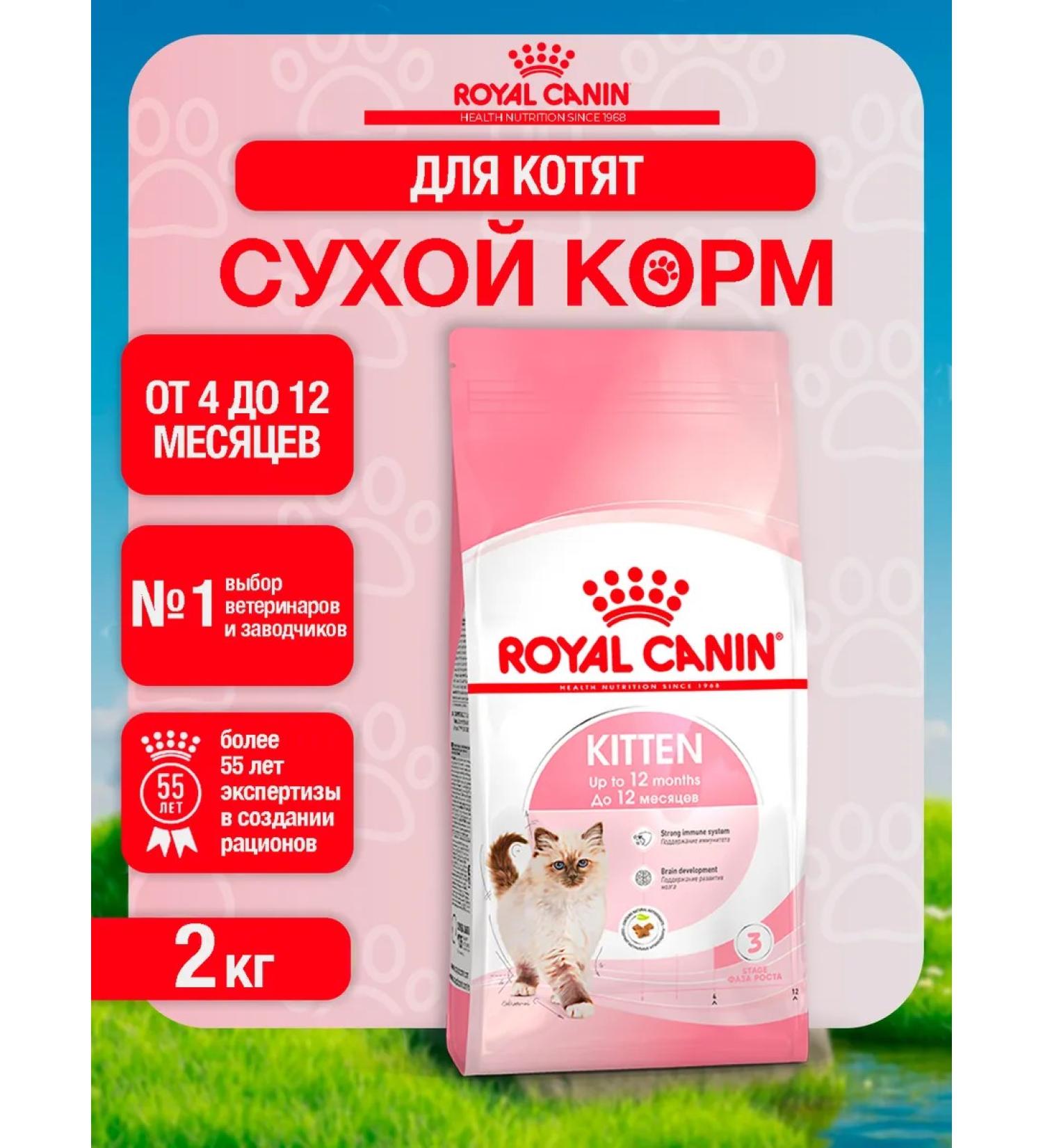 ROYAL CANIN Dry food for kittens of the Kanin Kitten with a bird 2 kg - Buy Online on GoSupps.com