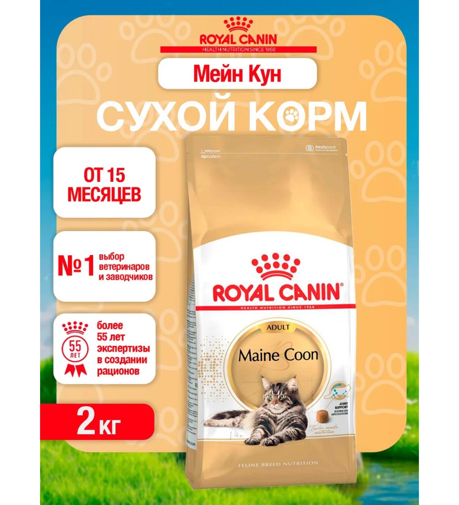 ROYAL CANIN Dry food for the breed Maine Kun 2 kg - Buy Online on GoSupps.com