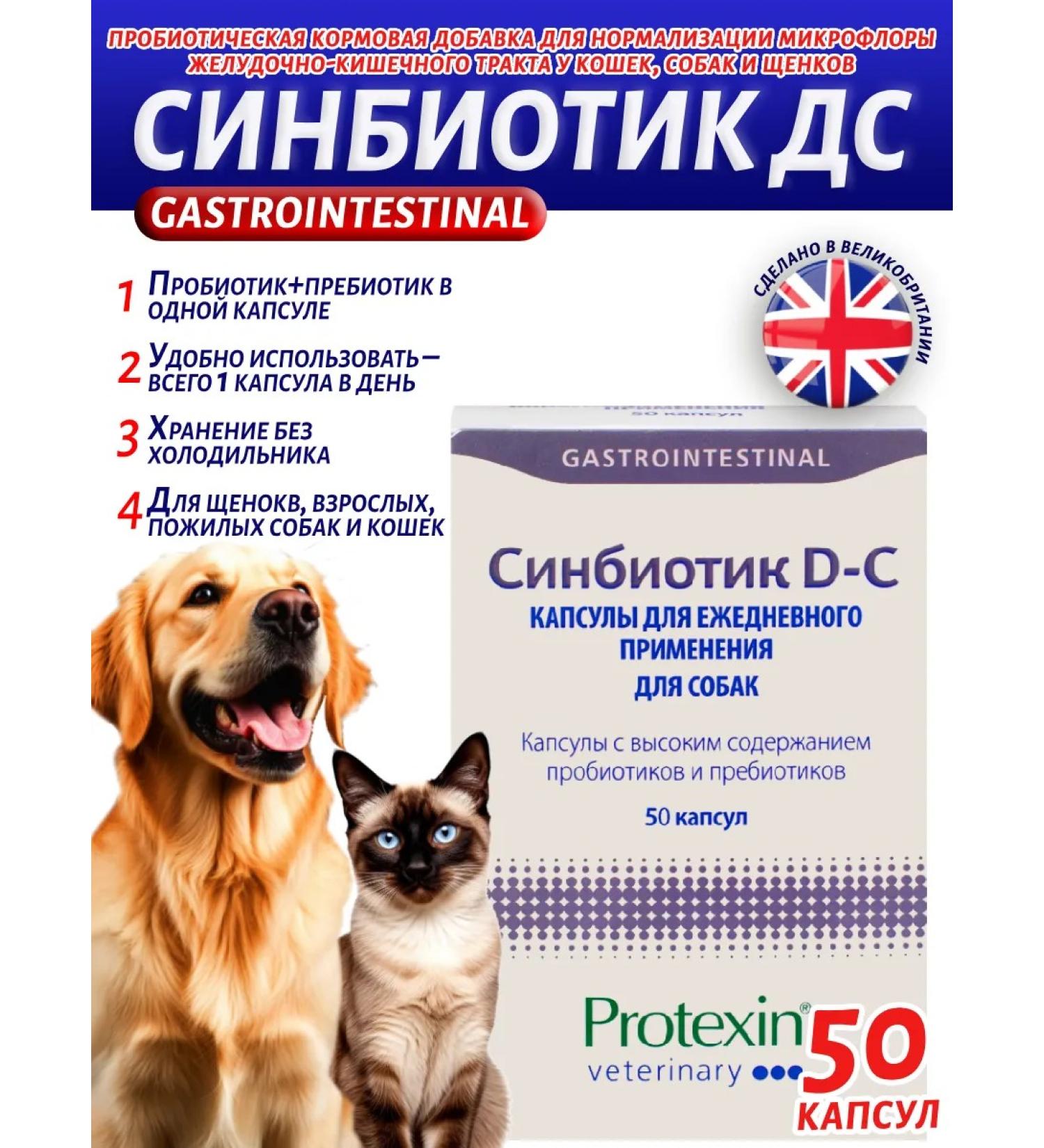 protein Sinbiotik ds probiotic and prebiotic for dogs 50 capsules - Buy Online on GoSupps.com
