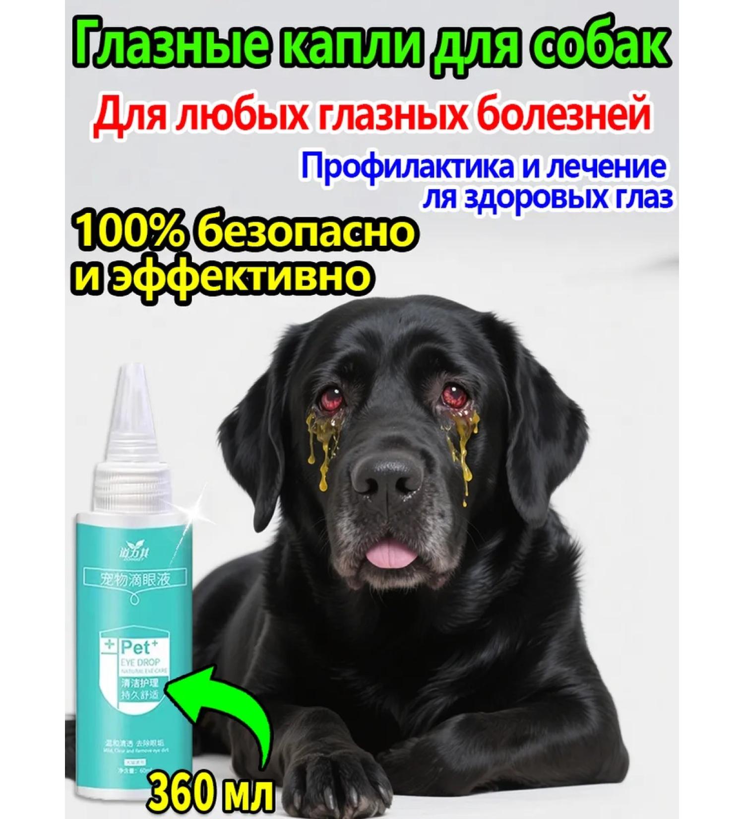 Drops for the eyes for cats and dogs conjunctivitis 180 ml - Buy Online on GoSupps.com