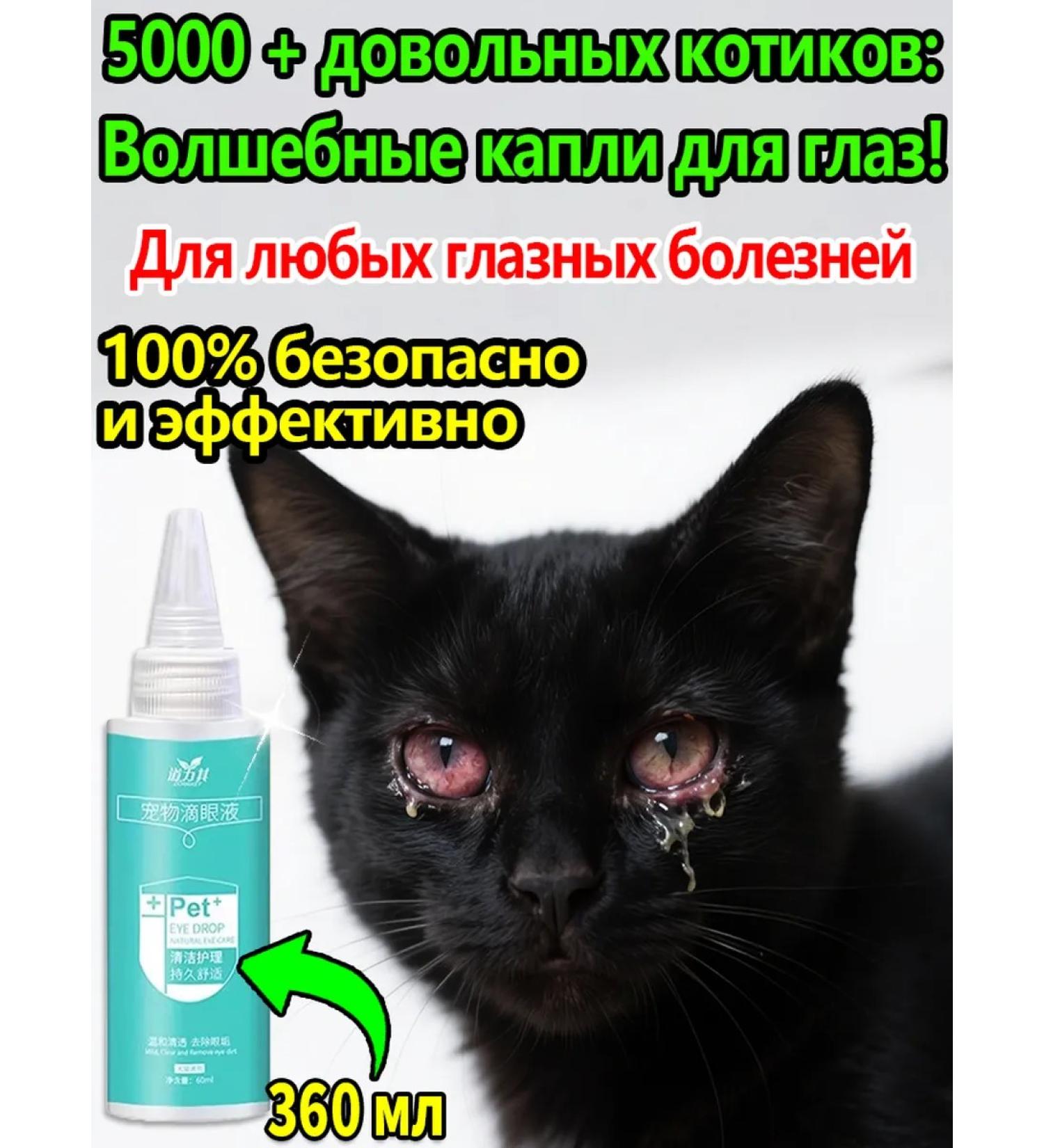 Eye drops for cats with conjunctivitis 180ml - Buy Online on GoSupps.com