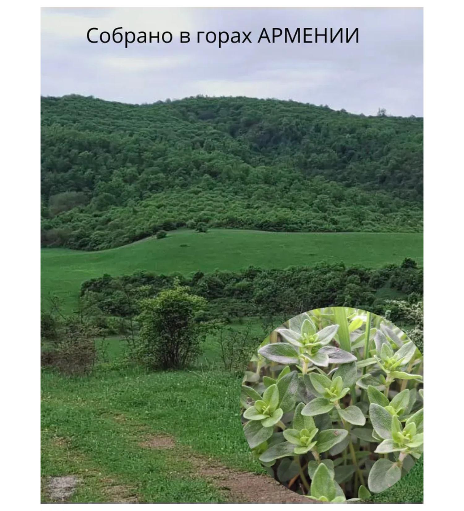 Dried natural thyme from Armenia 25 g - Buy Online on GoSupps.com