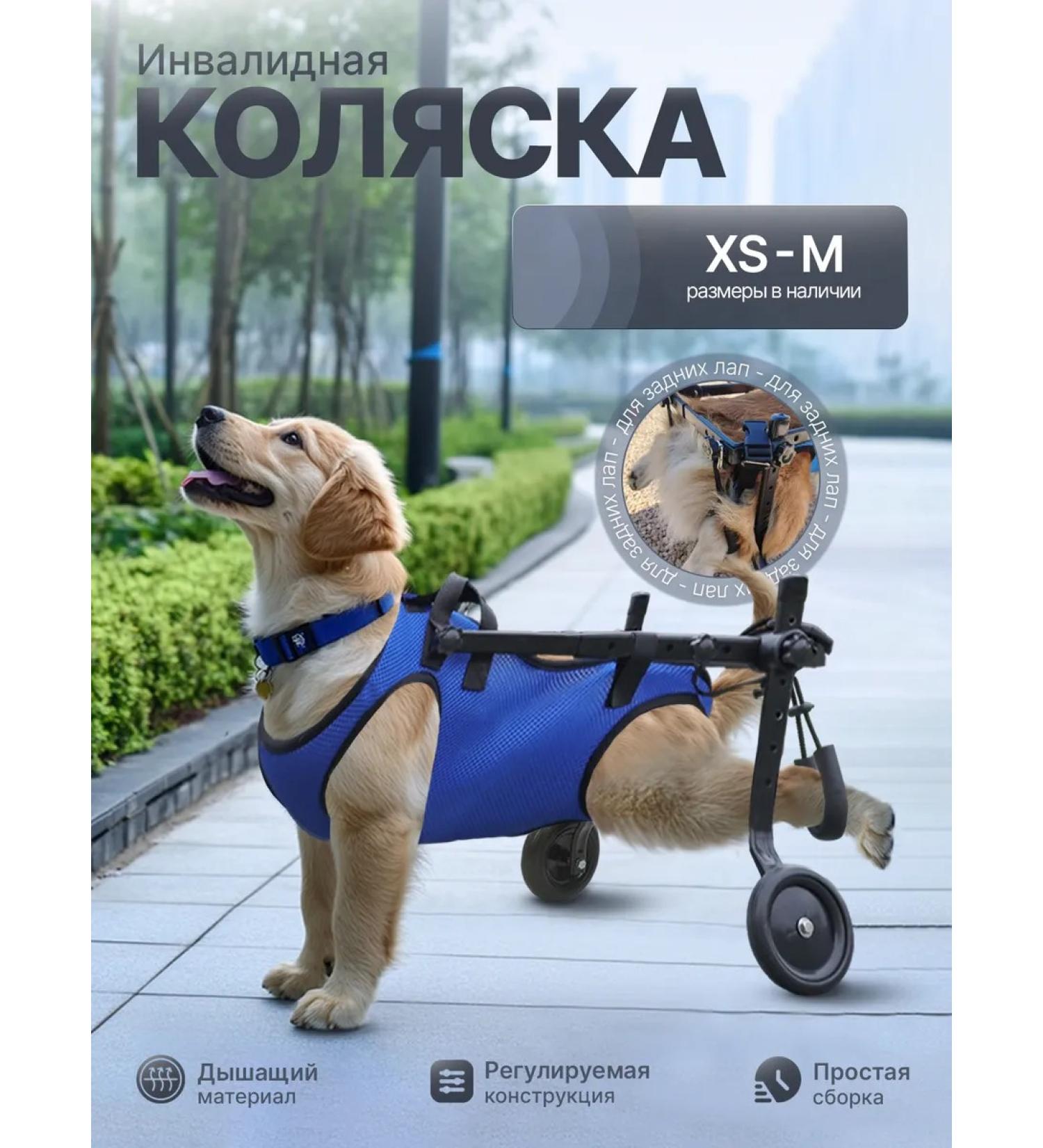 Lamurin Wheelchair for dog paws - Buy Online on GoSupps.com