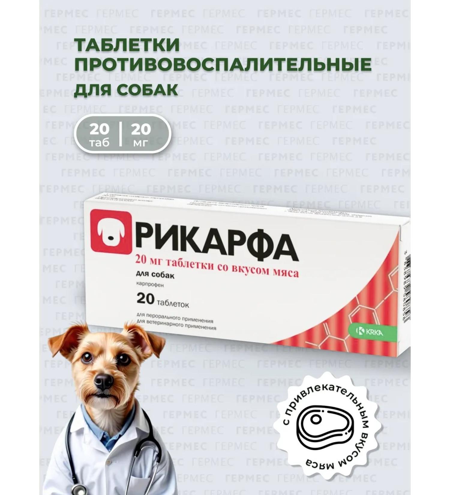 KRKA Rikrif 20 mg anti -inflammatory dog tablets 20 pcs - Buy Online on GoSupps.com