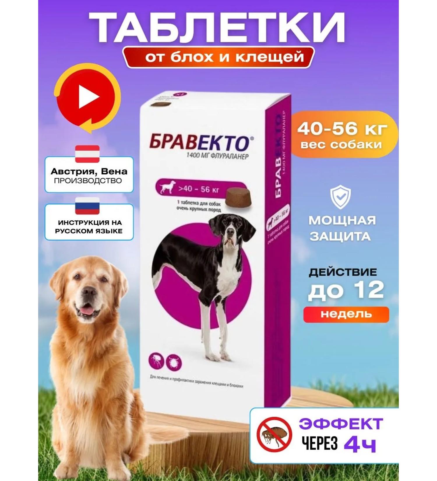 Braveto tablet for dogs from fleas and ticks 40-56 kg - Buy Online on GoSupps.com
