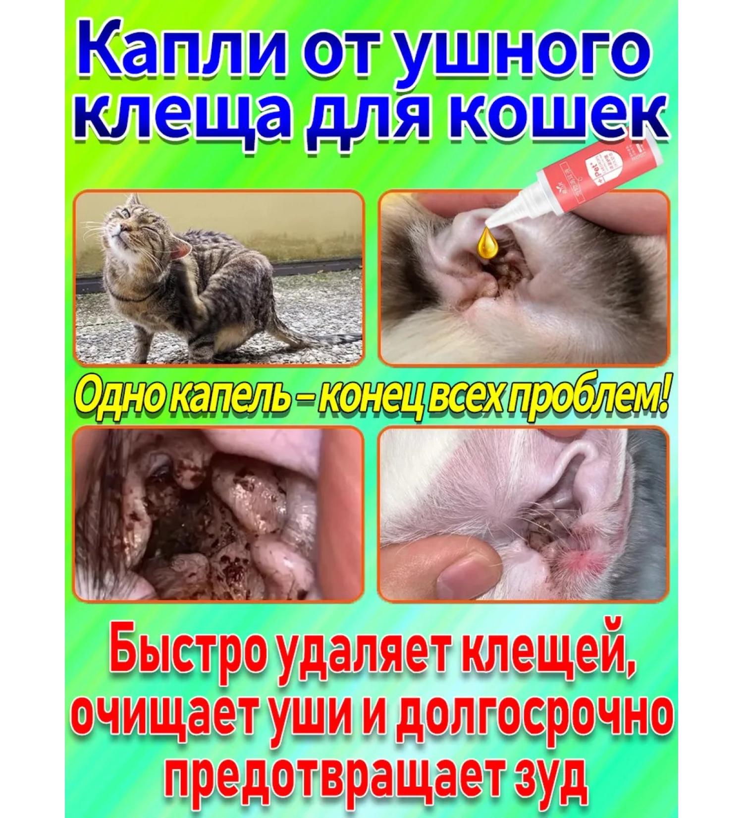 Lotion for cleaning the ears of cats 60ml - Buy Online on GoSupps.com