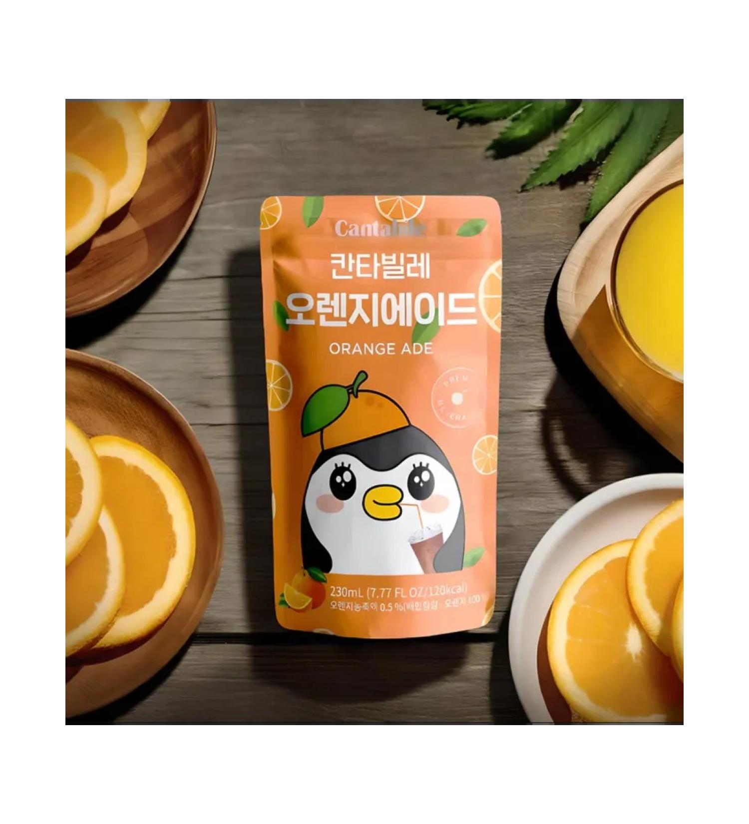 Red Dragon St Petersburg Drink - concentrate Taste of Cantabile orange 230 ml