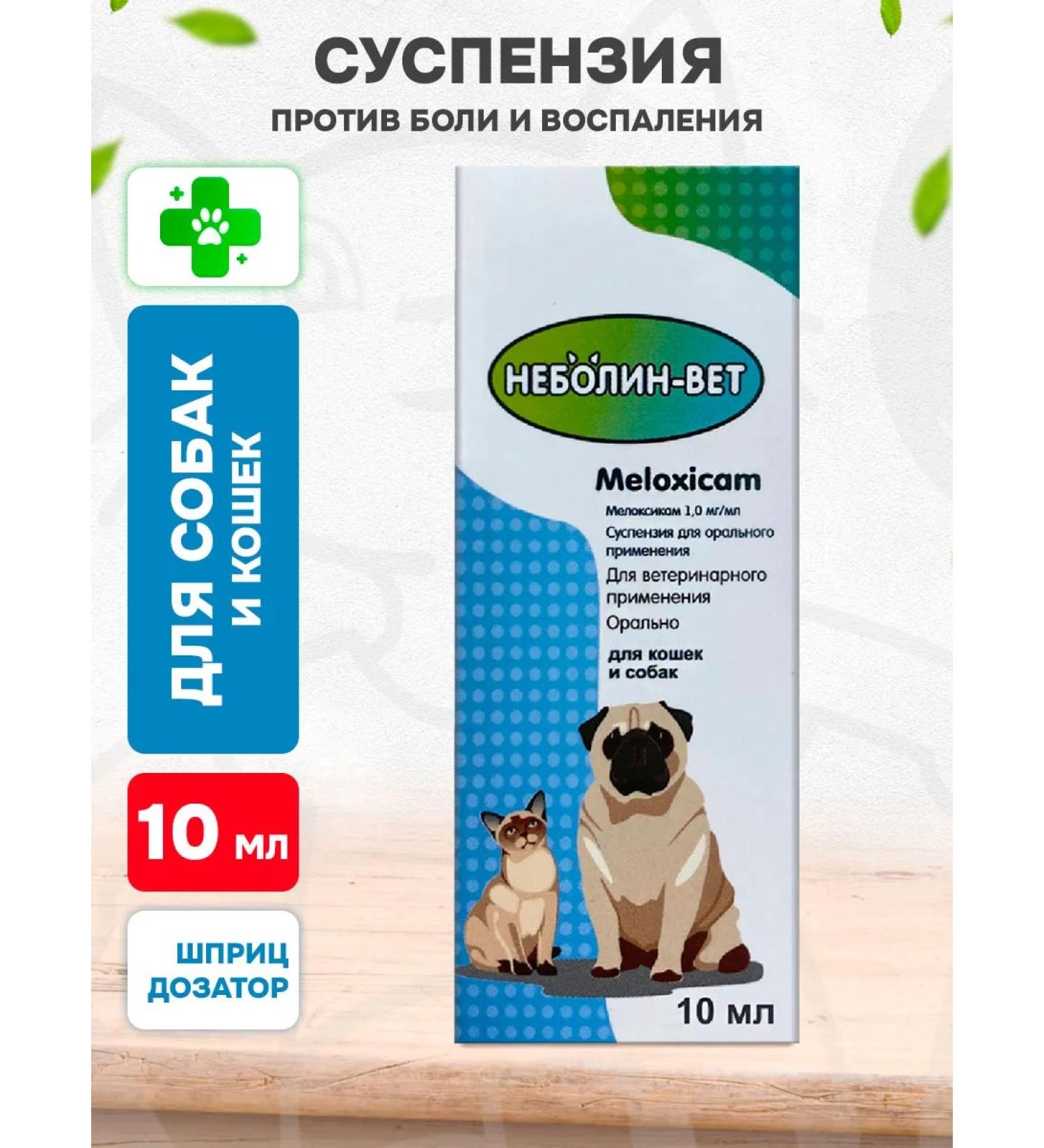 NebolinVet Suspension for dog pain and cats 10 ml - Buy Online on GoSupps.com