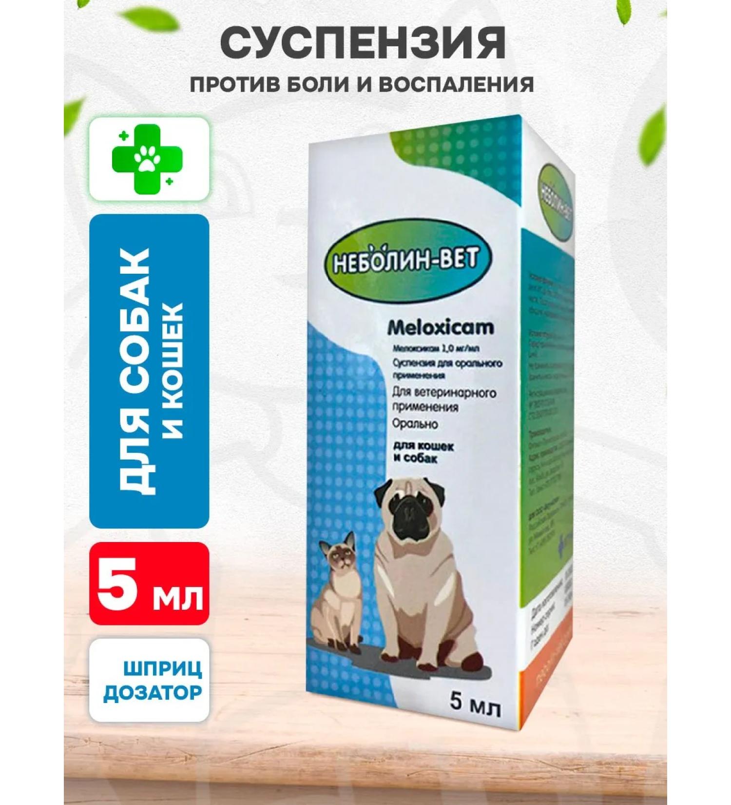 NebolinVet Suspension from pain for dogs and cats 5 ml - Buy Online on GoSupps.com