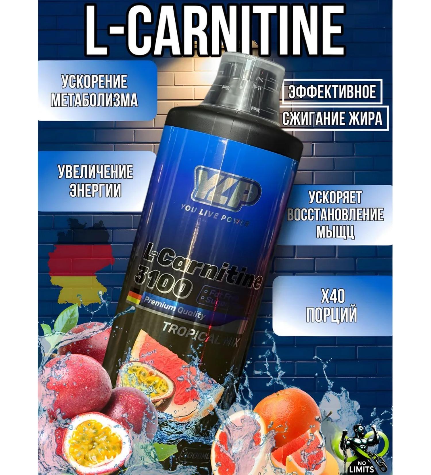 YLP L-Carnitine liquid fat burner 3100 - Buy Online on GoSupps.com