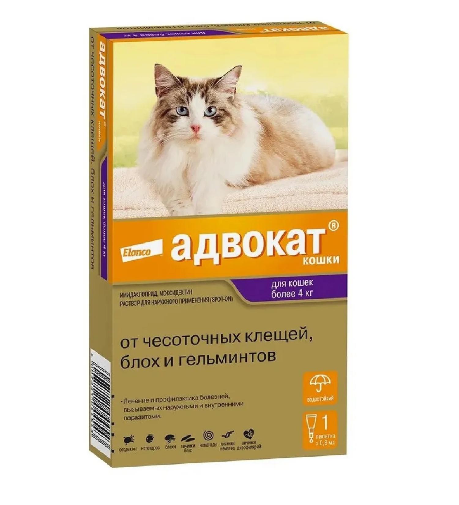 Bayer Antiparasitic drug cat 4-8kg 1P*0.8ml - Buy Online on GoSupps.com