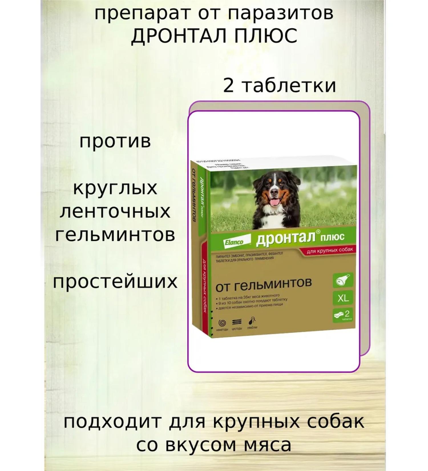 Bayer Anthelmintic for dogs with the taste of meat 2Tab