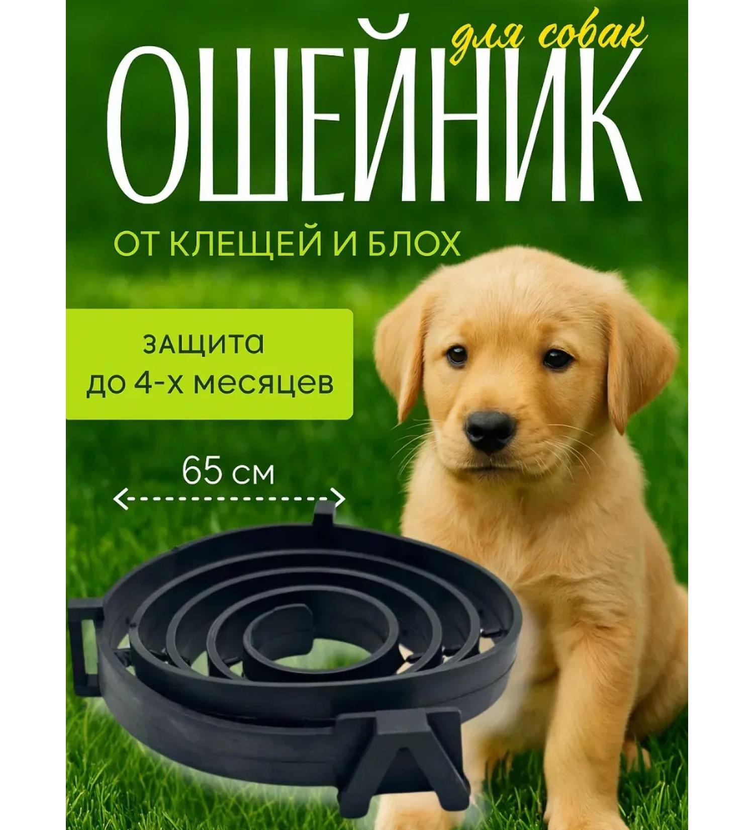 Dream market trends Antiplassitarian Dog anti -block collars - Buy Online on GoSupps.com