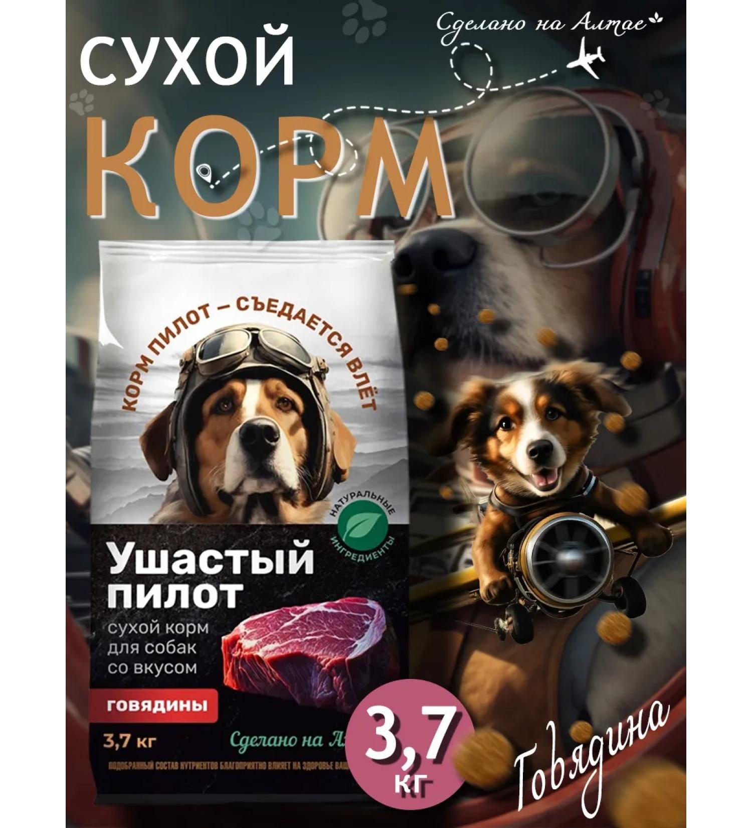 LongEared Pilot Dry food dry with beef 3.7 kg - Buy Online on GoSupps.com