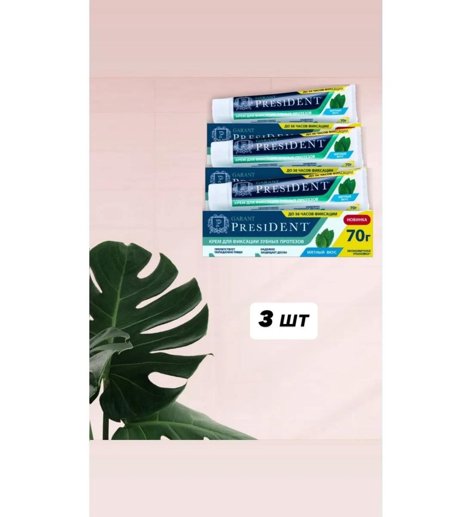 PRESIDENT Garant cream for fixing dentures with mint taste 70 ...