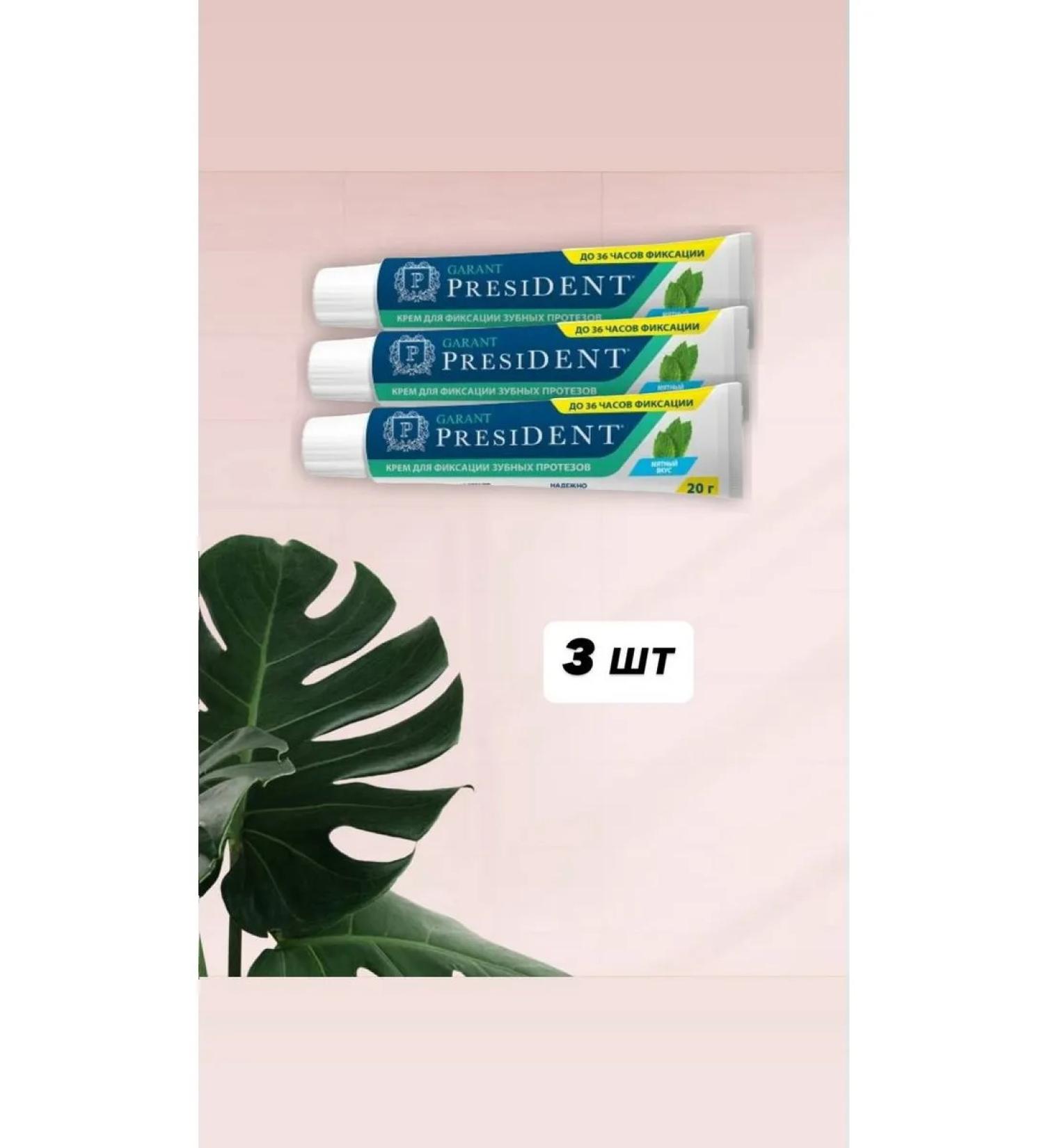 PRESIDENT Garant cream for fixing dentures with mint taste 20 ...