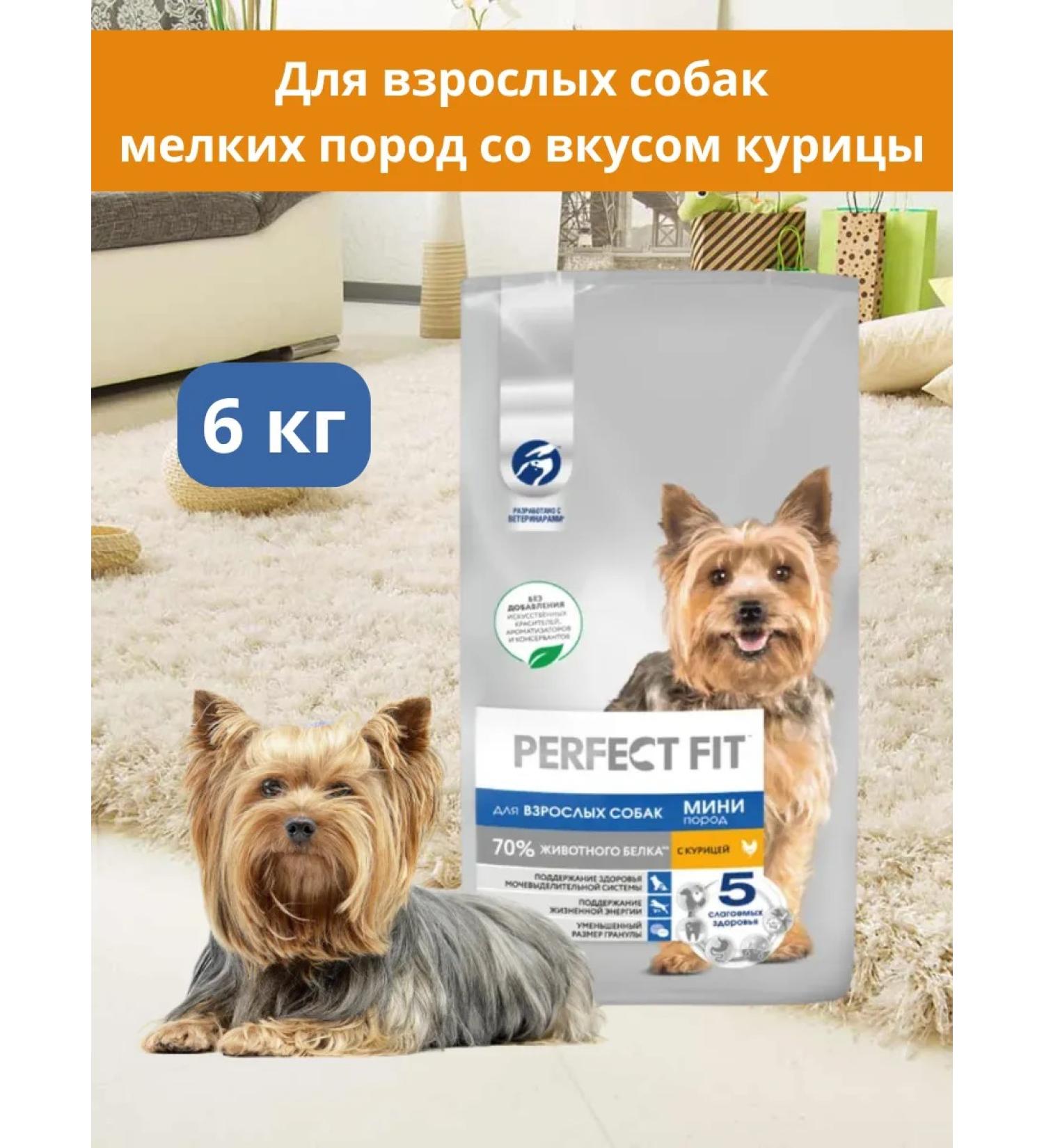 PERFECT FIT Dry food for dogs of small rocks 6 kg - Buy Online on GoSupps.com