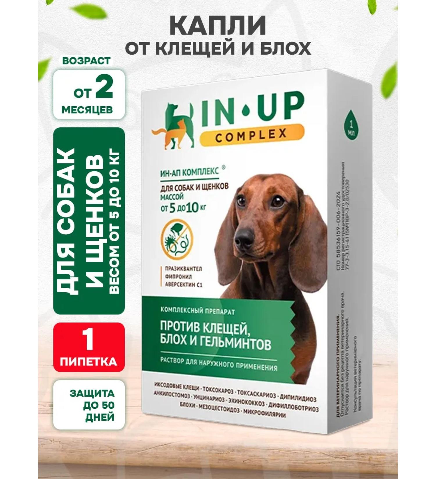 Astrapharm In-up complex drops from dogs for dogs 5-10 kg 1 ml 1 pc - Buy Online on GoSupps.com