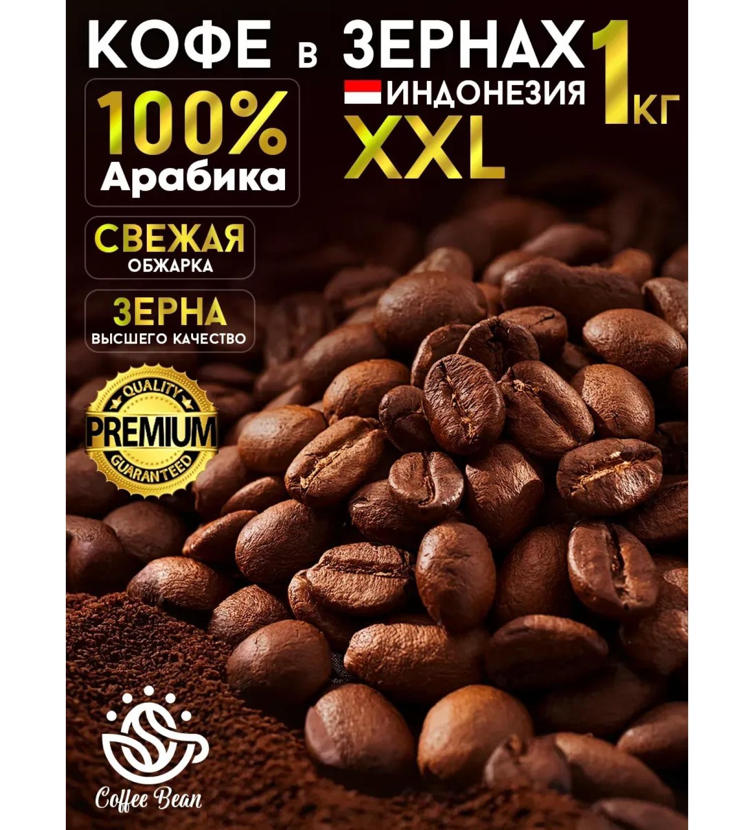 Coffee Bean Coffee in grains 1 kg of arabica 100% Indonesia XXL - Buy Online on GoSupps.com