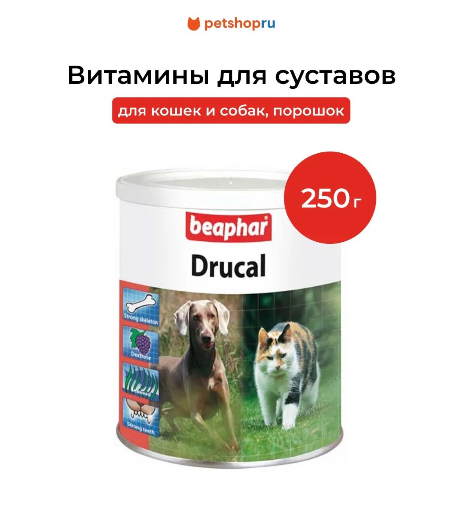 beaphar Vitamins for the joints of cats and dogs powder 250 grams