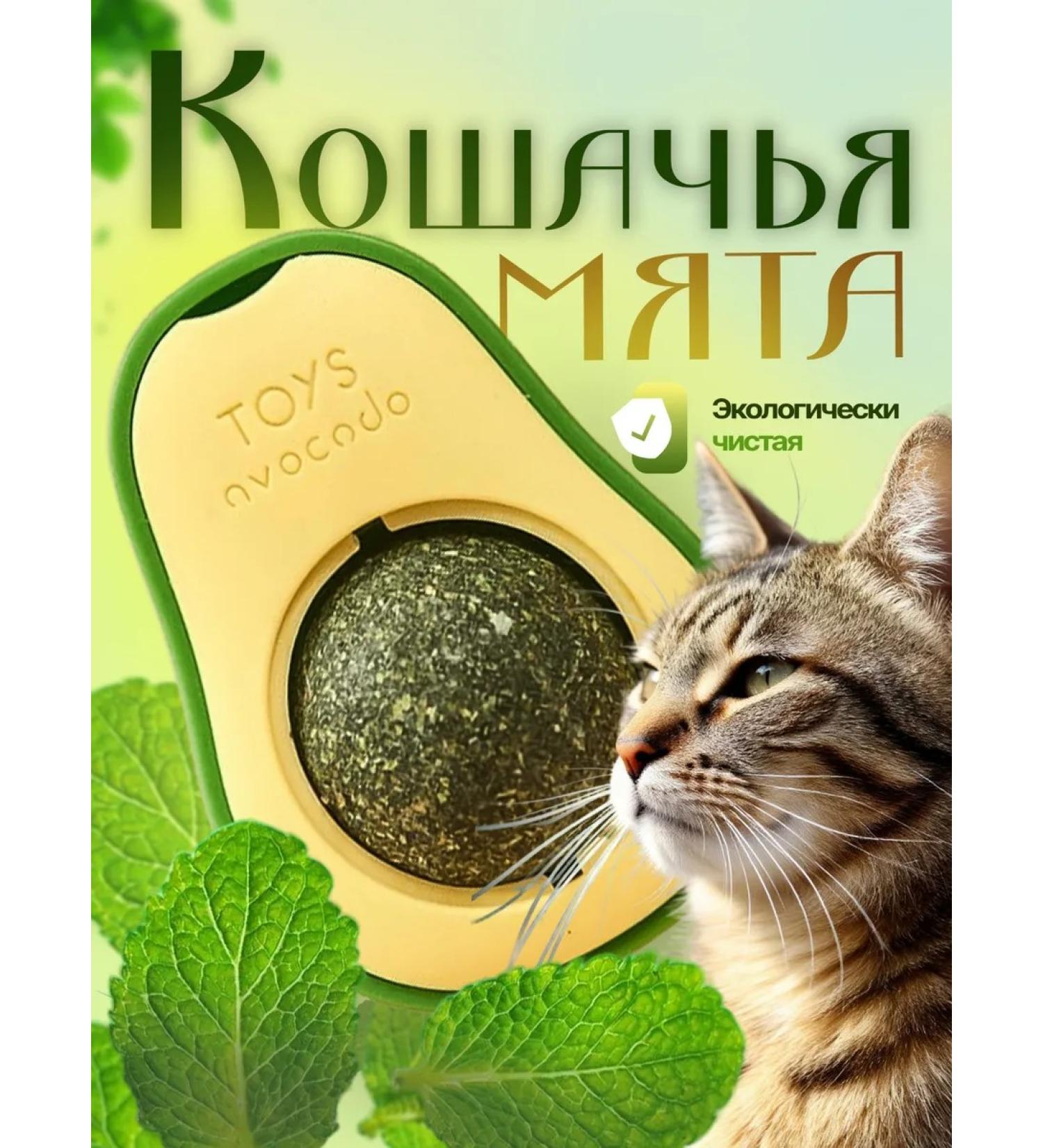 Cat mint lizun ball on the wall - Buy Online on GoSupps.com