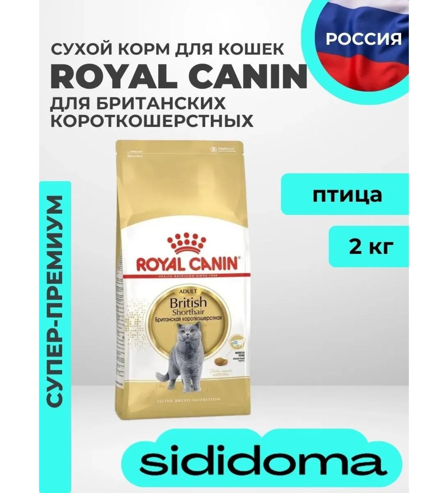 ROYAL CANIN Dry food British Shorthair for British cats 2 kg - Buy Online on GoSupps.com