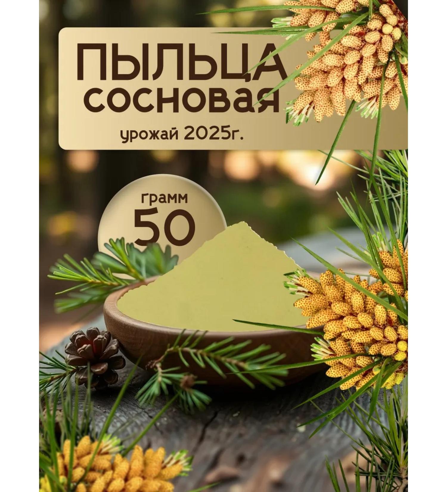 Grain of the Mountains Pine pollen from the mountains of Dagestan - Buy Online on GoSupps.com