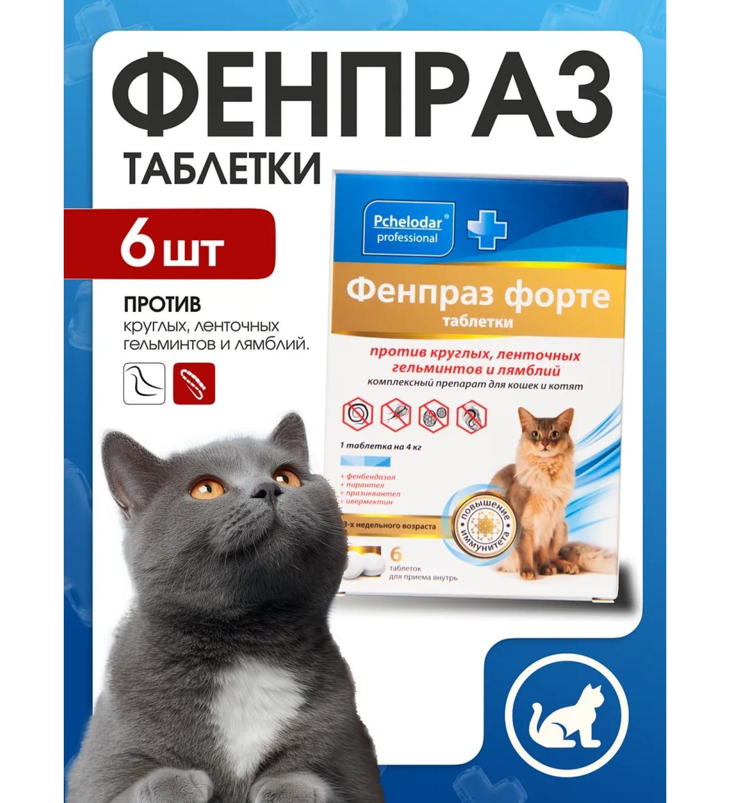 Beekeeper Fenpraz Forte anthelmintic tablets for cats and kittens (6 tablets) - Buy Online on GoSupps.com