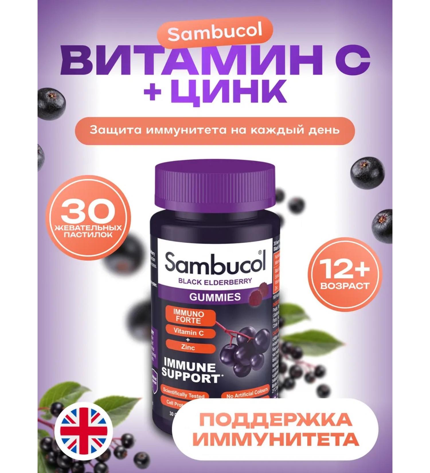 Sambucol Vitamin C and zinc for immunity Black Elderberry Vitamin C+Z ...